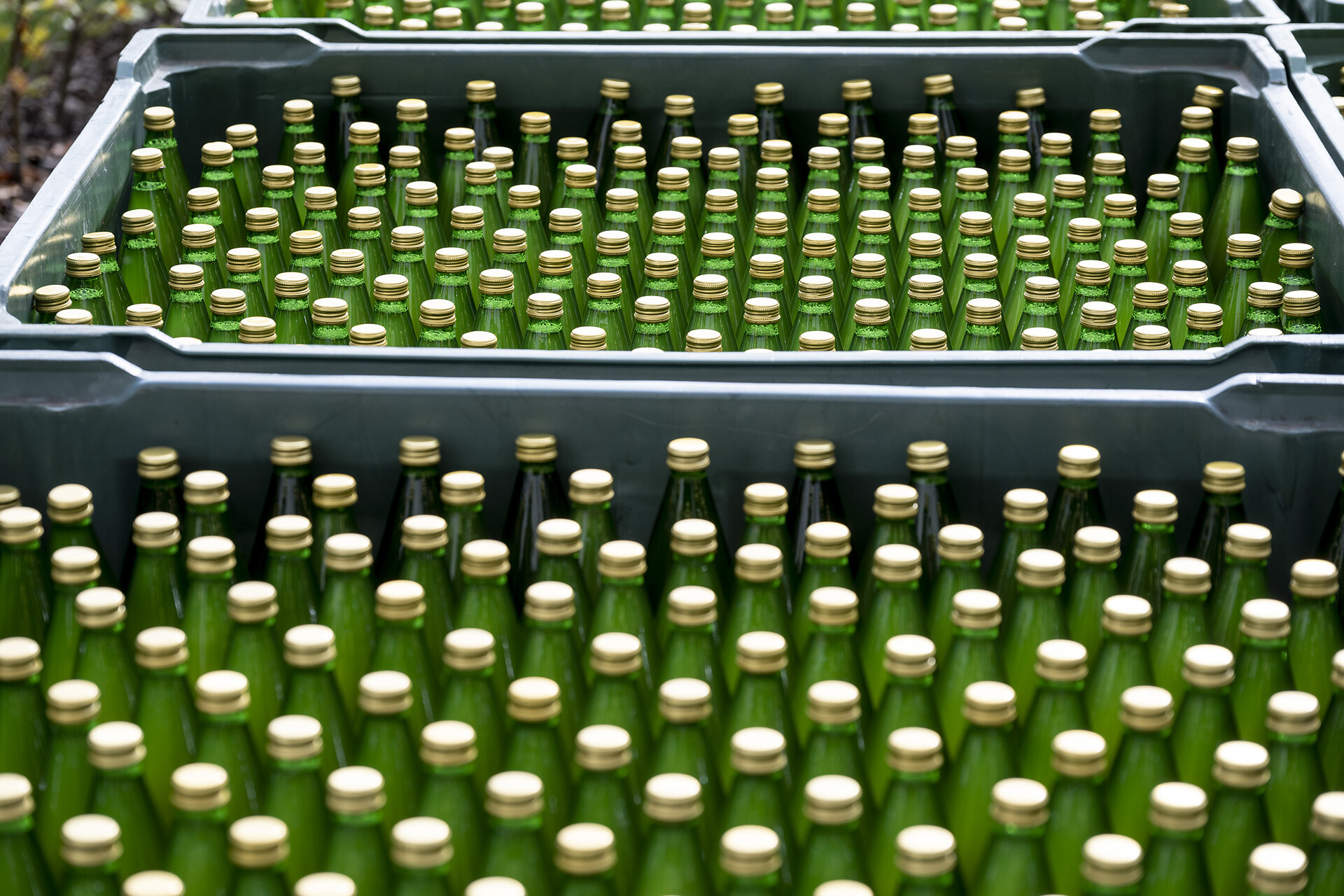 Frisch abgefüllter Apfelsaft