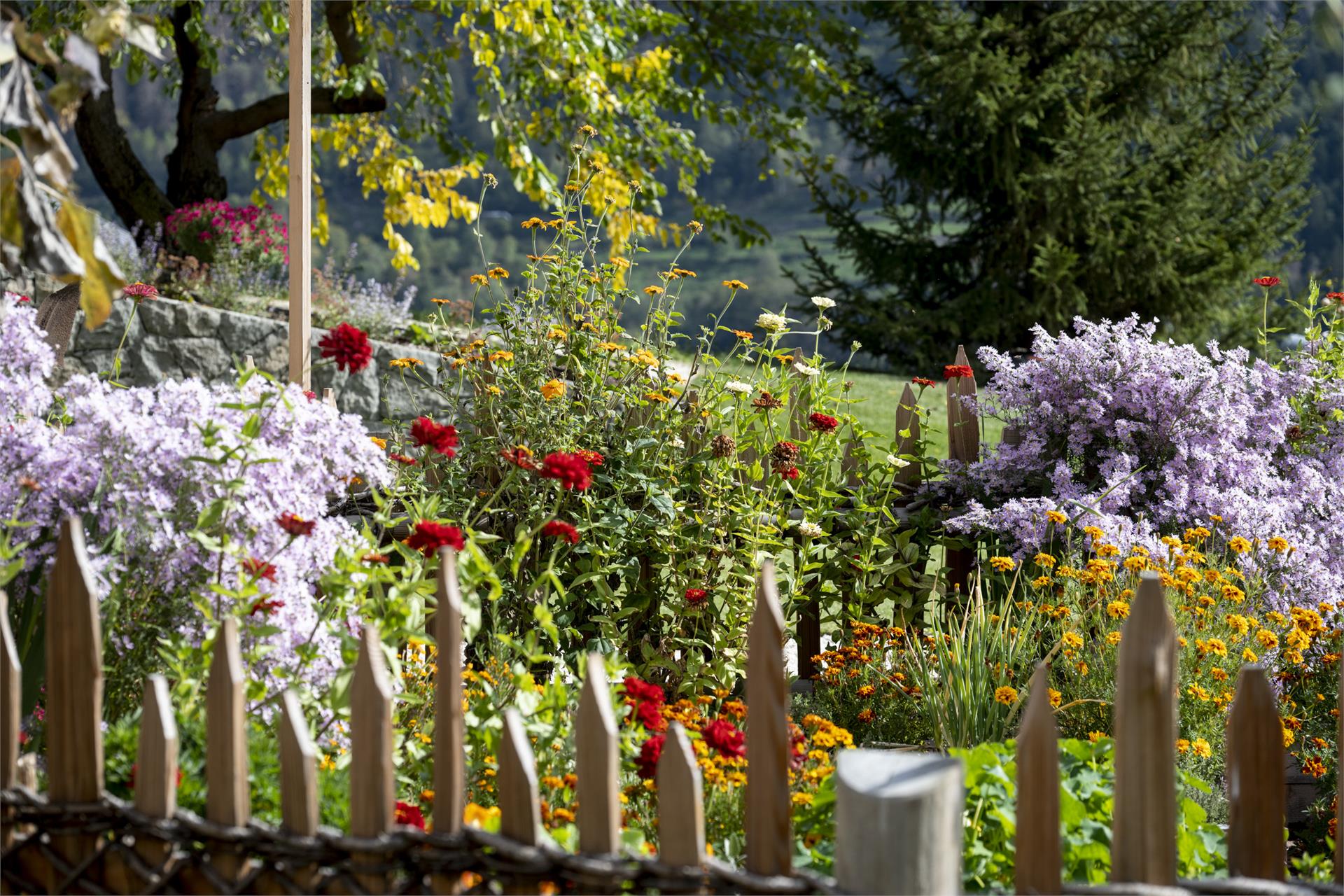 Oberfallerhof Barbian/Barbiano 27 suedtirol.info