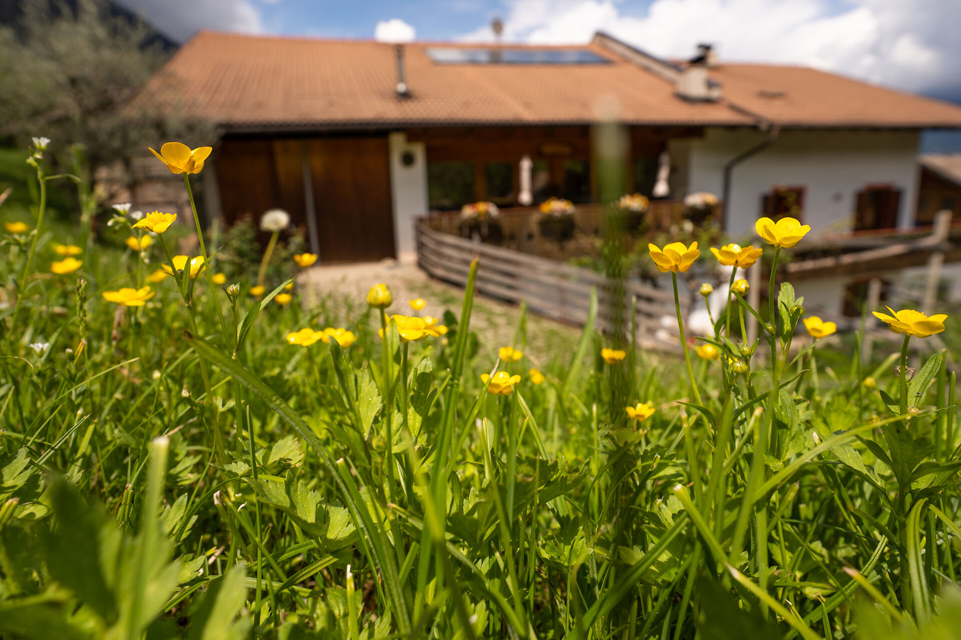 Obermösslhof Lana 15 suedtirol.info