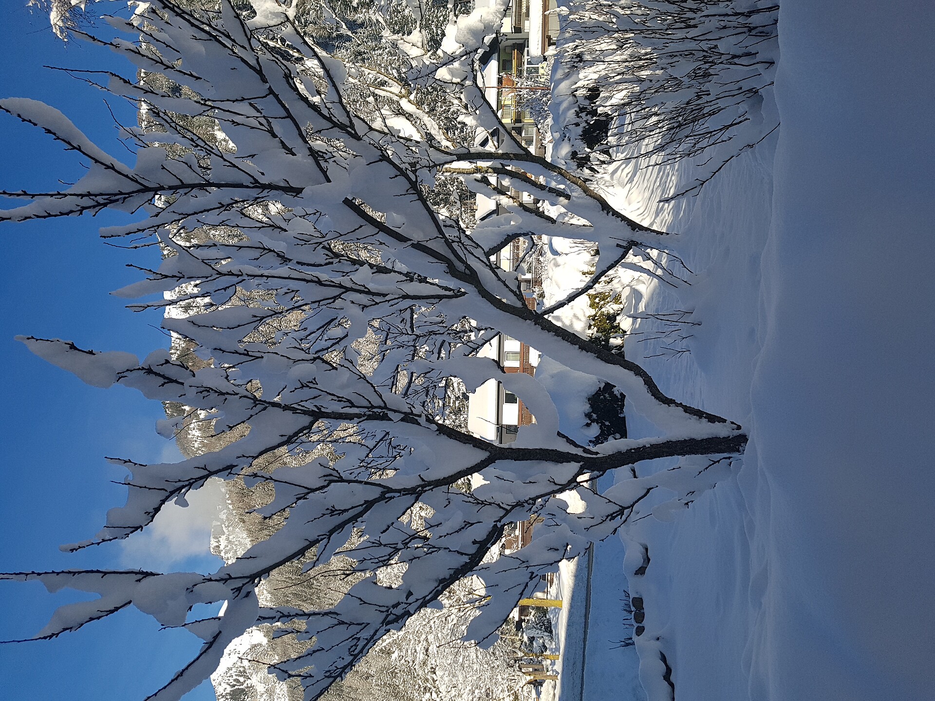 Winterpanorama
