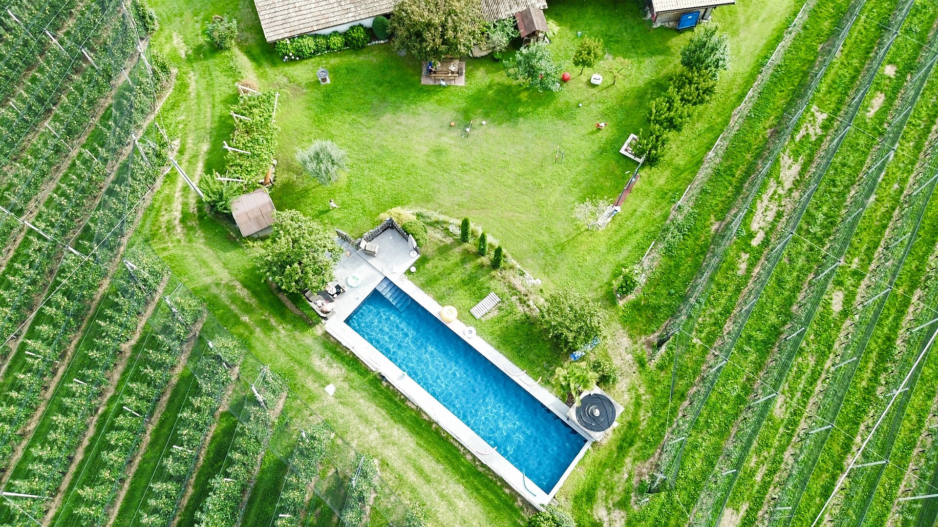 piscina ed intorni