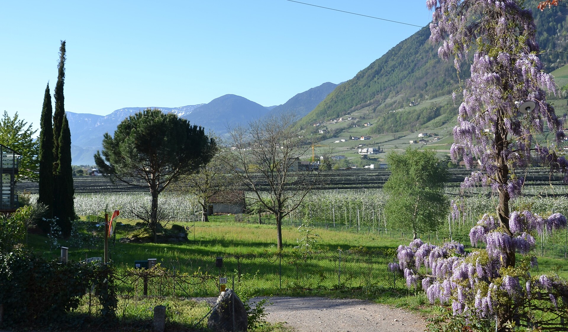 Valle Adige