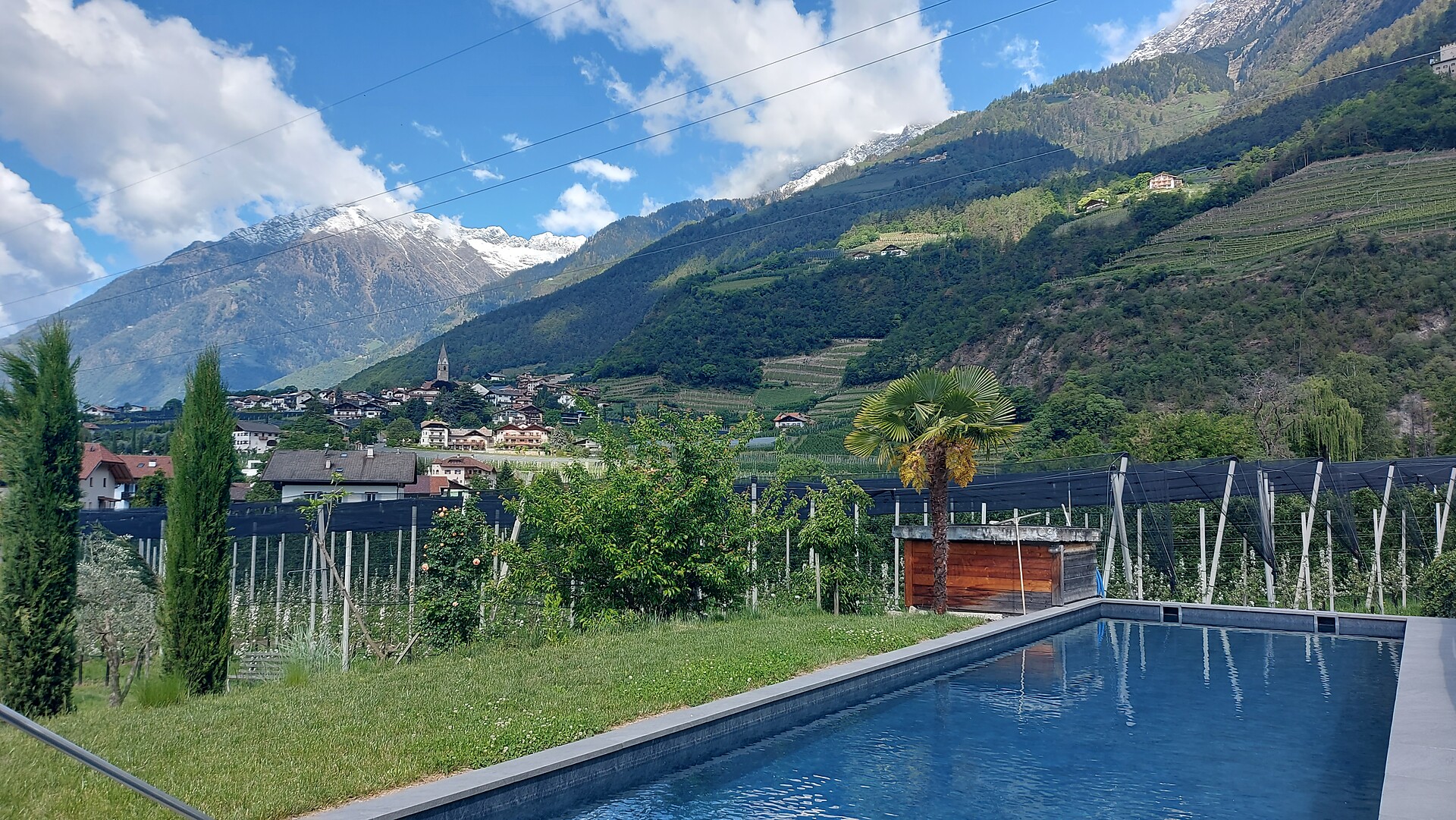 piscina ed intorni