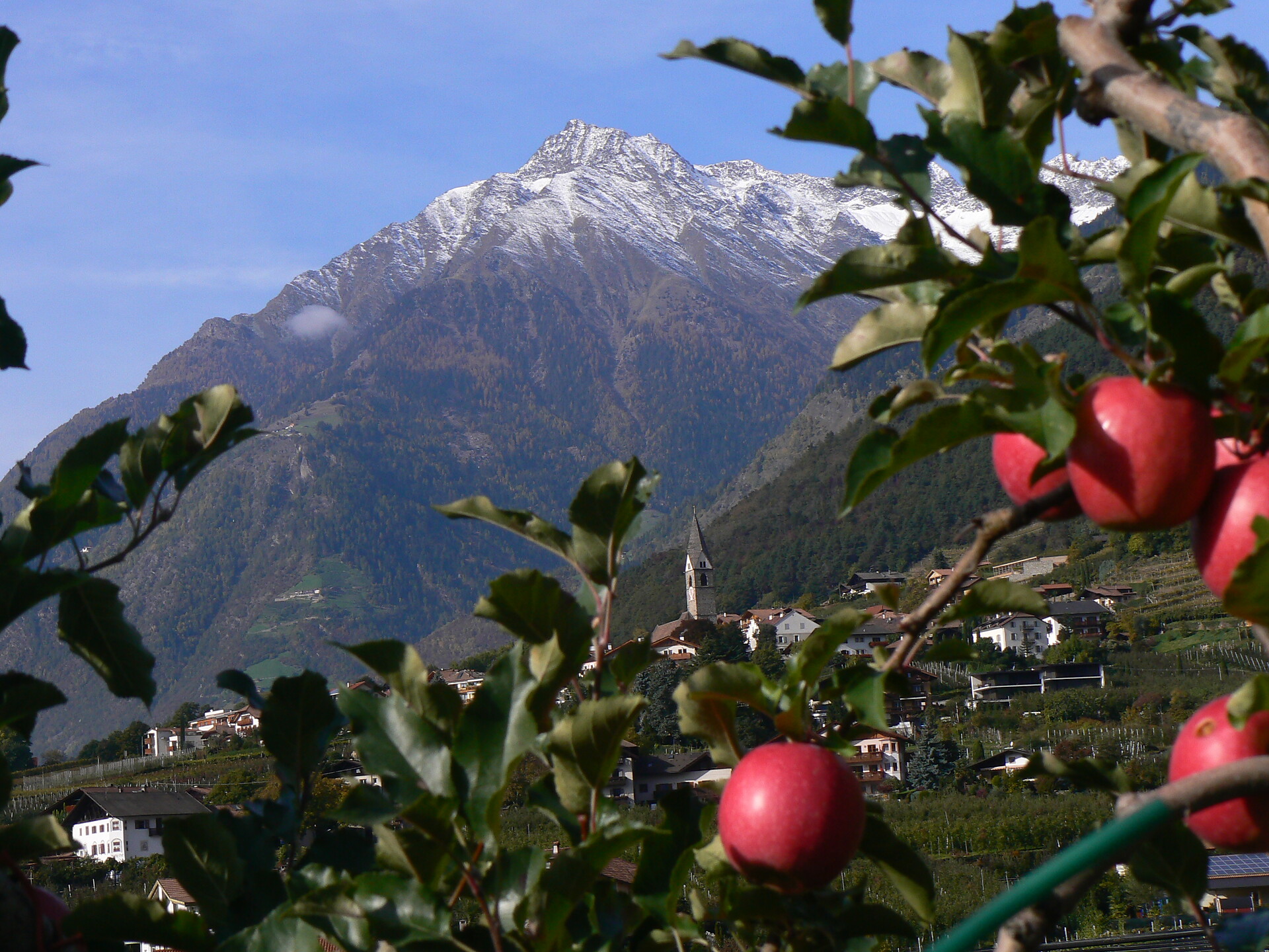 Herbst