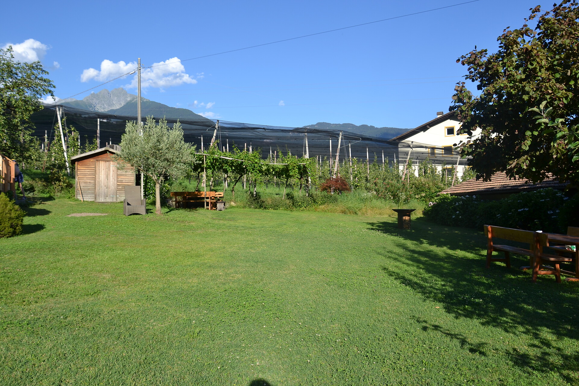 Gardino
