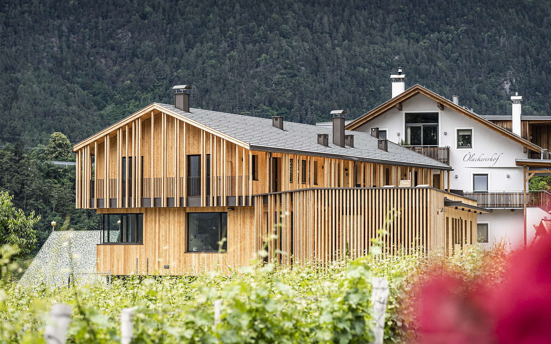 Ölackererhof