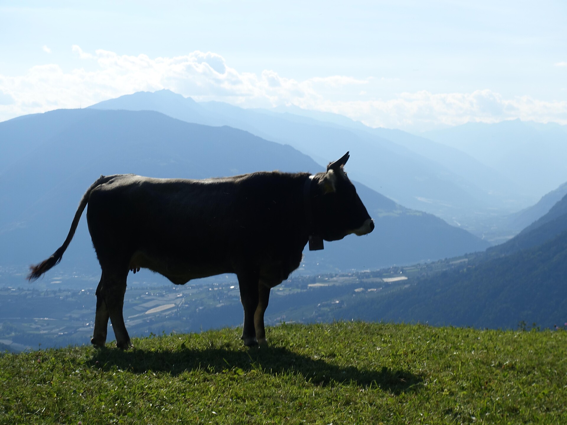 \\\\\\\\\\\\\\\\&quot;Boarbichl\\\\\\\\\\\\\\\\&quot; mountain farm with cheese dairies