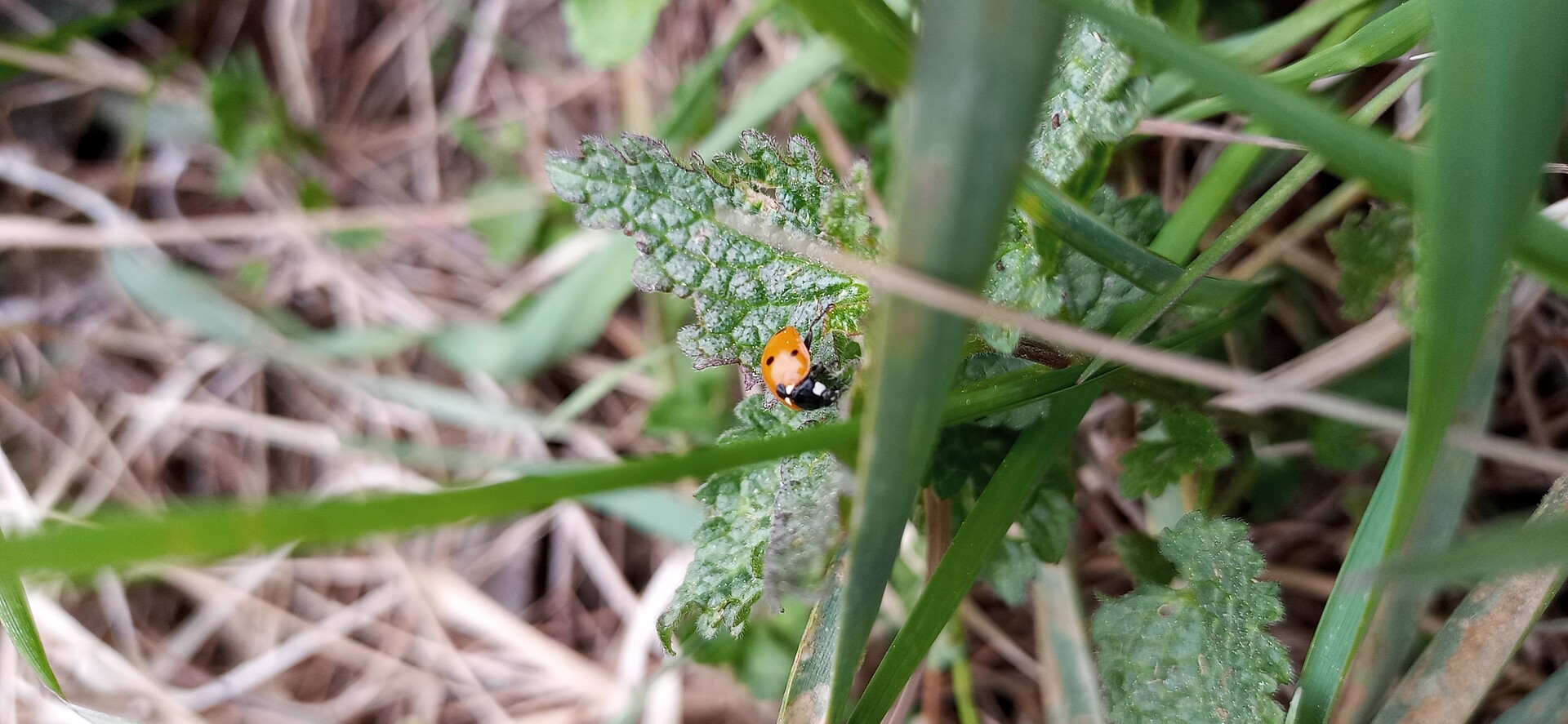 preserve nature