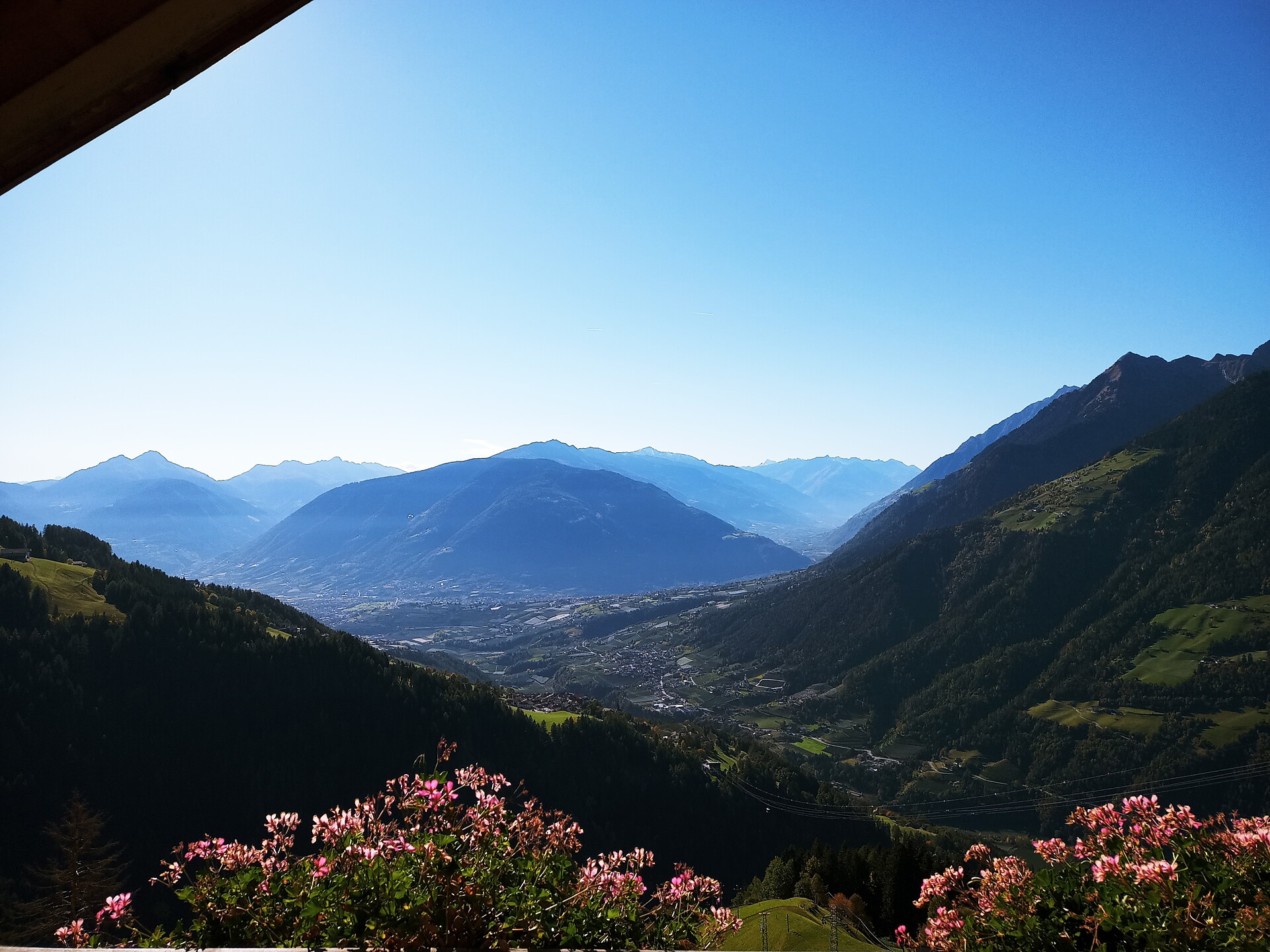 lovely view