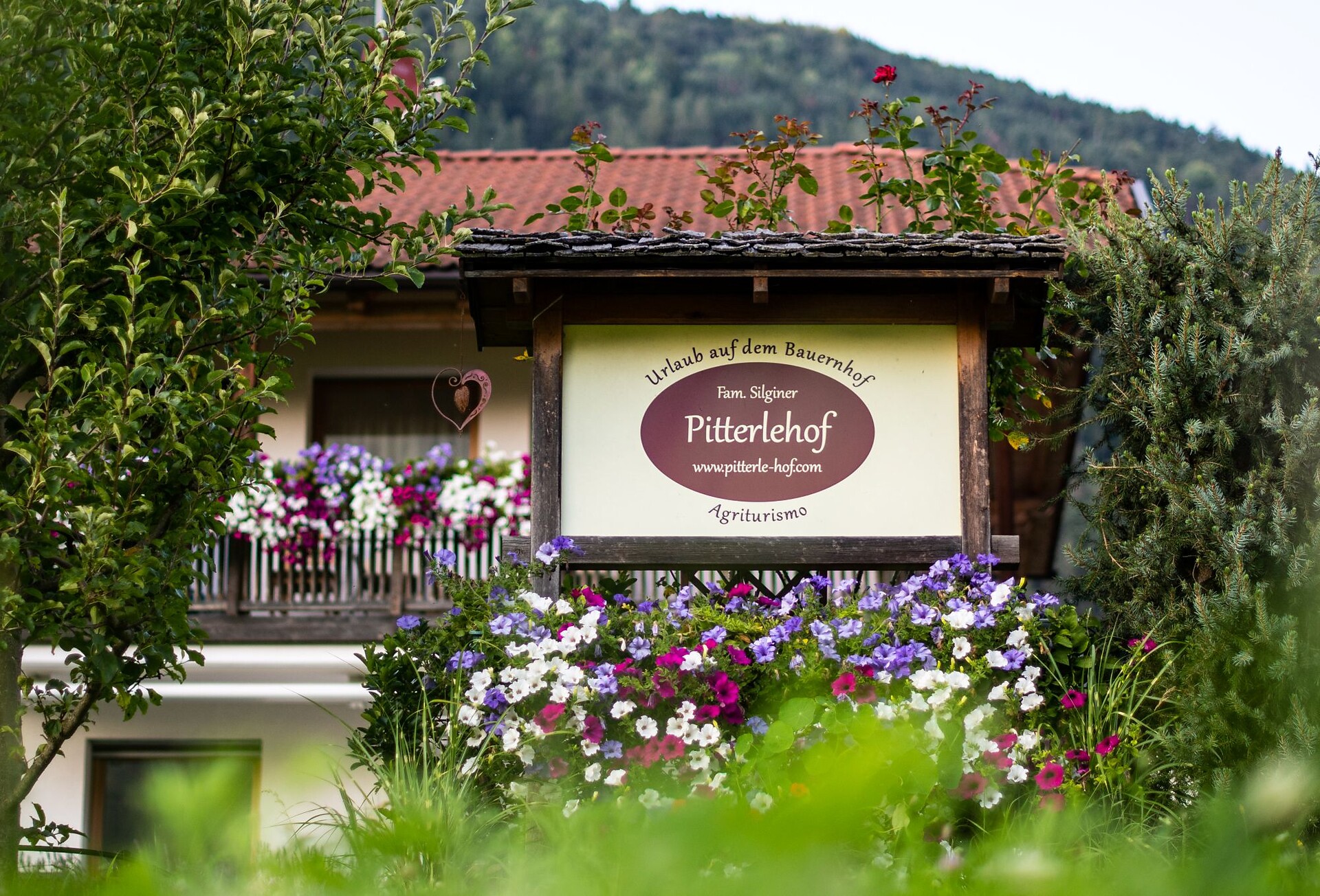 Pitterlehof - Dolomites Region Kronplatz/Plan de Corones - #13 - suedtirol.info