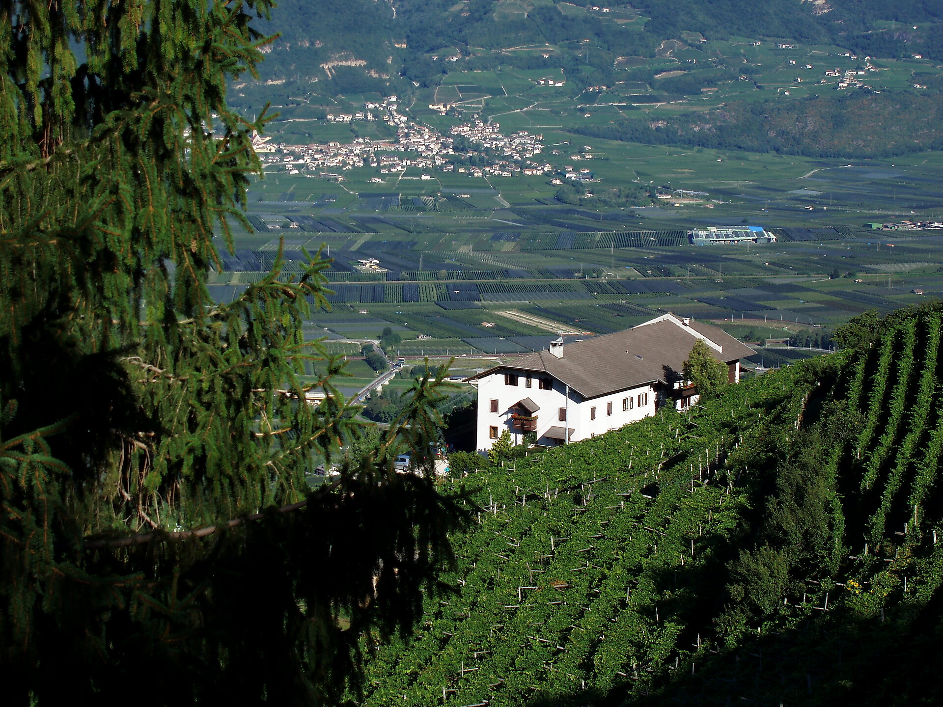 Private Accomodation Klausenhof Montan/Montagna 4 suedtirol.info