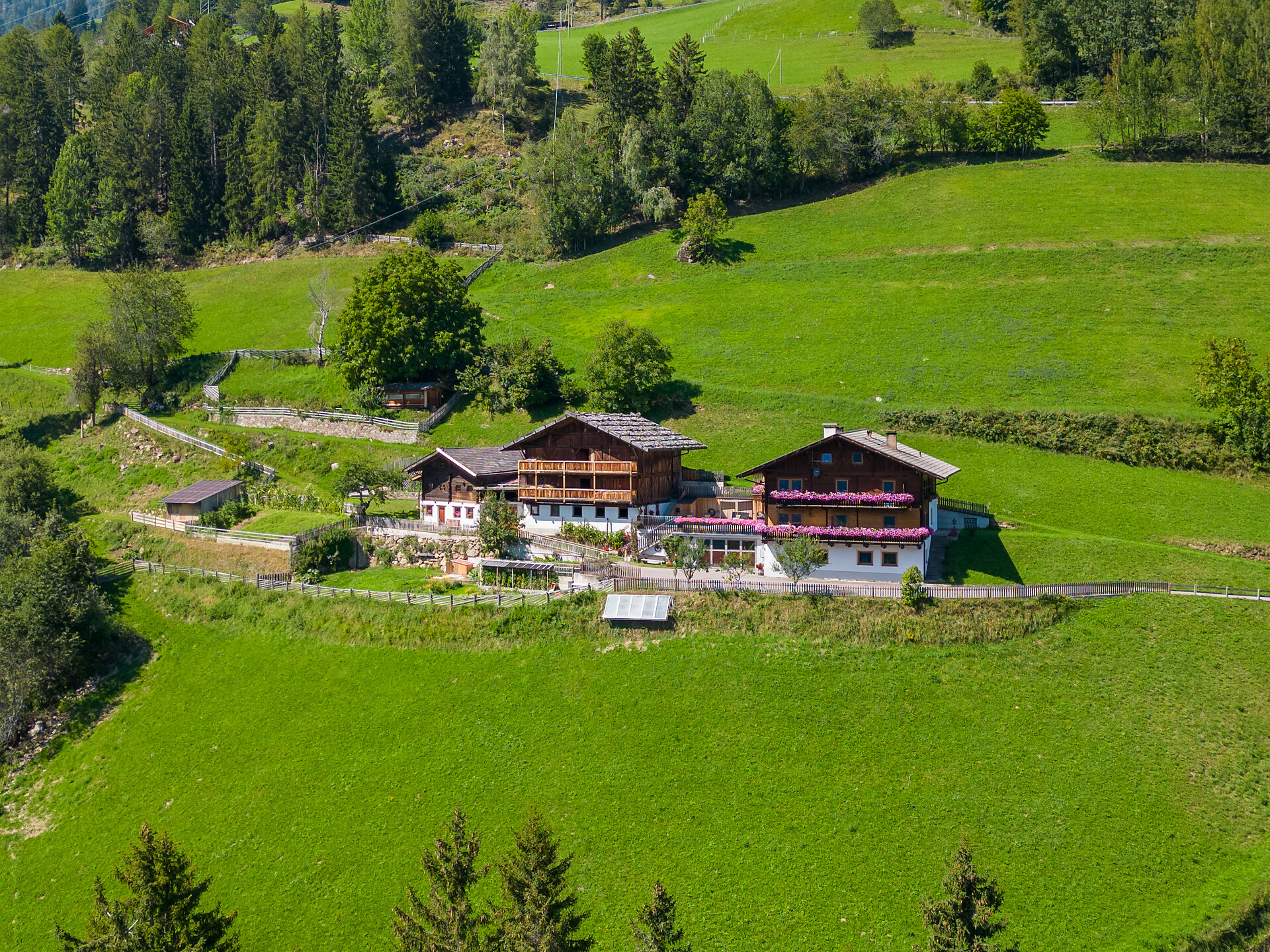 fattoria