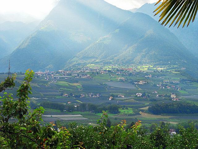 Pension Planta Meran 4 suedtirol.info