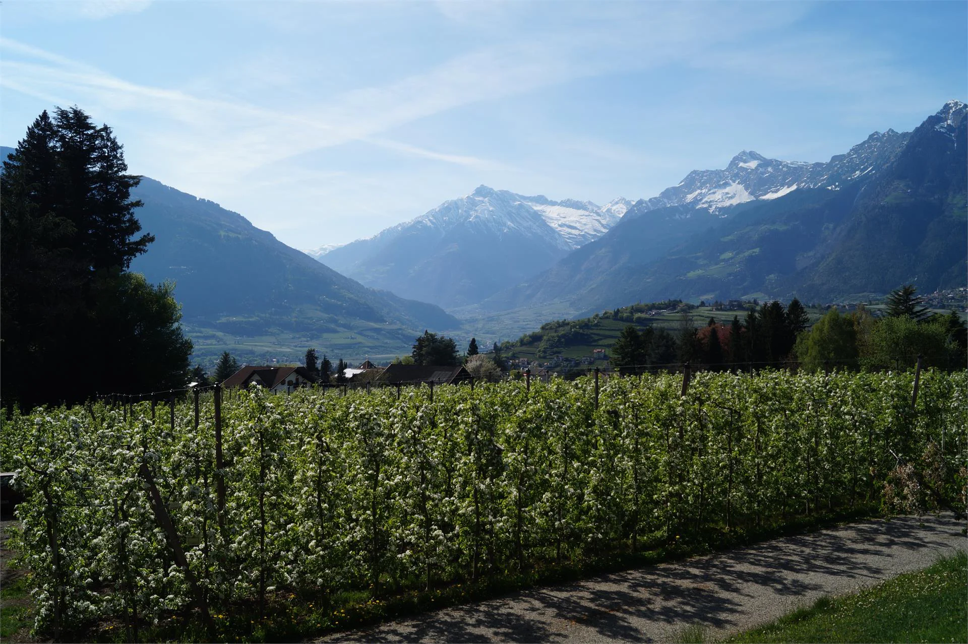 Pension Appartements Riedingerhof Meran/Merano 17 suedtirol.info