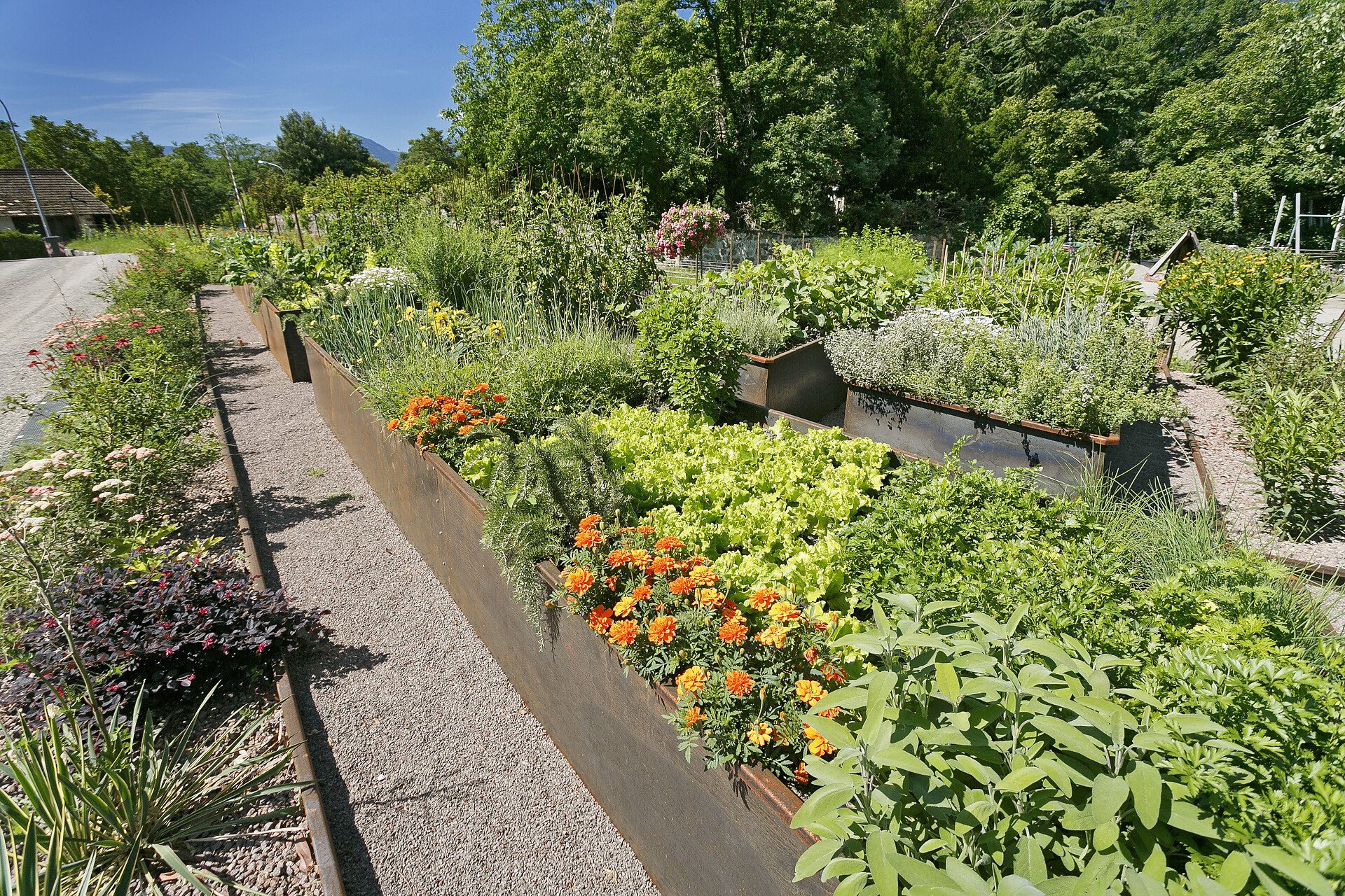 Gemüsegarten