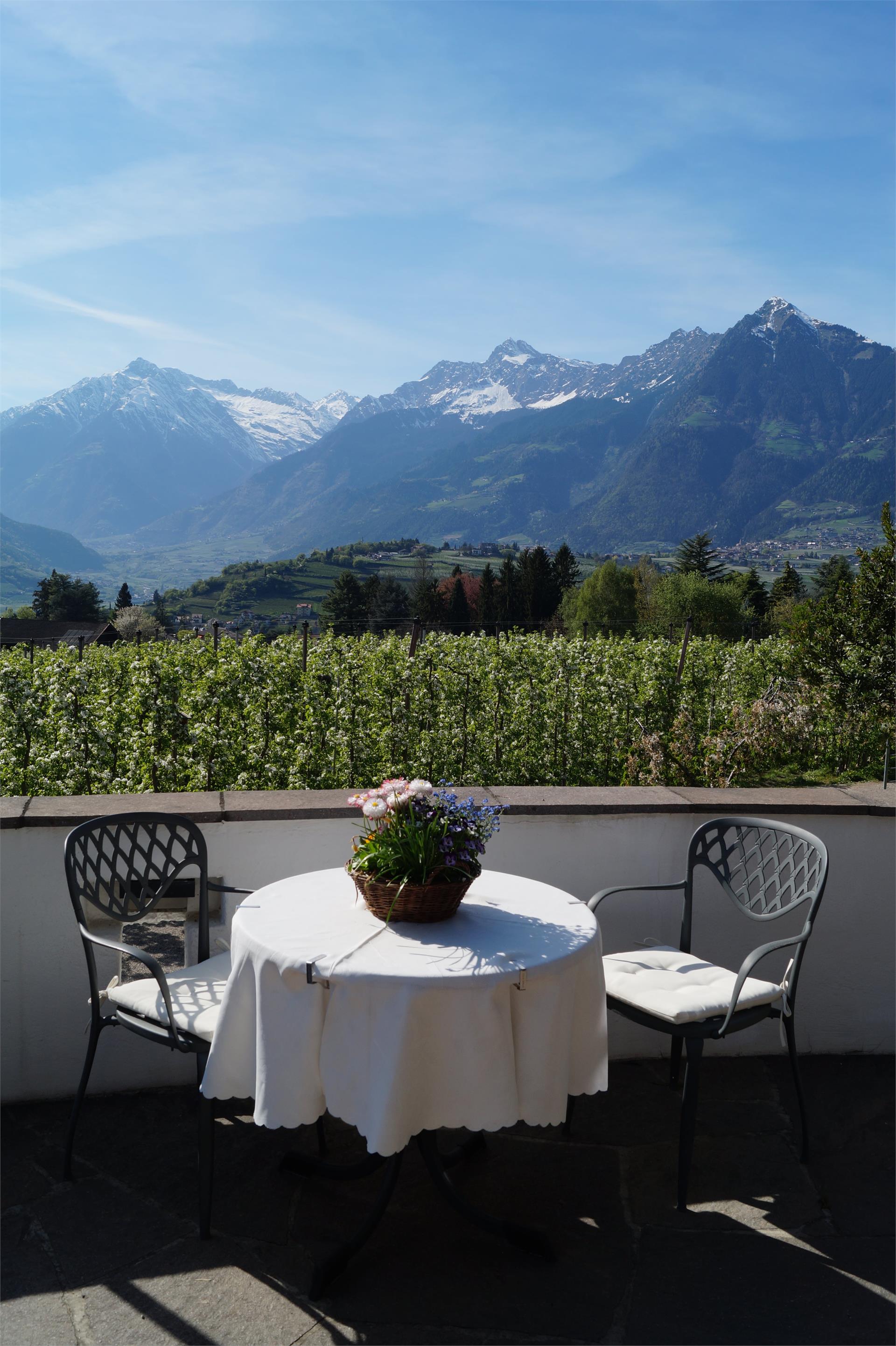 Pension Apartments Riedingerhof Meran 18 suedtirol.info