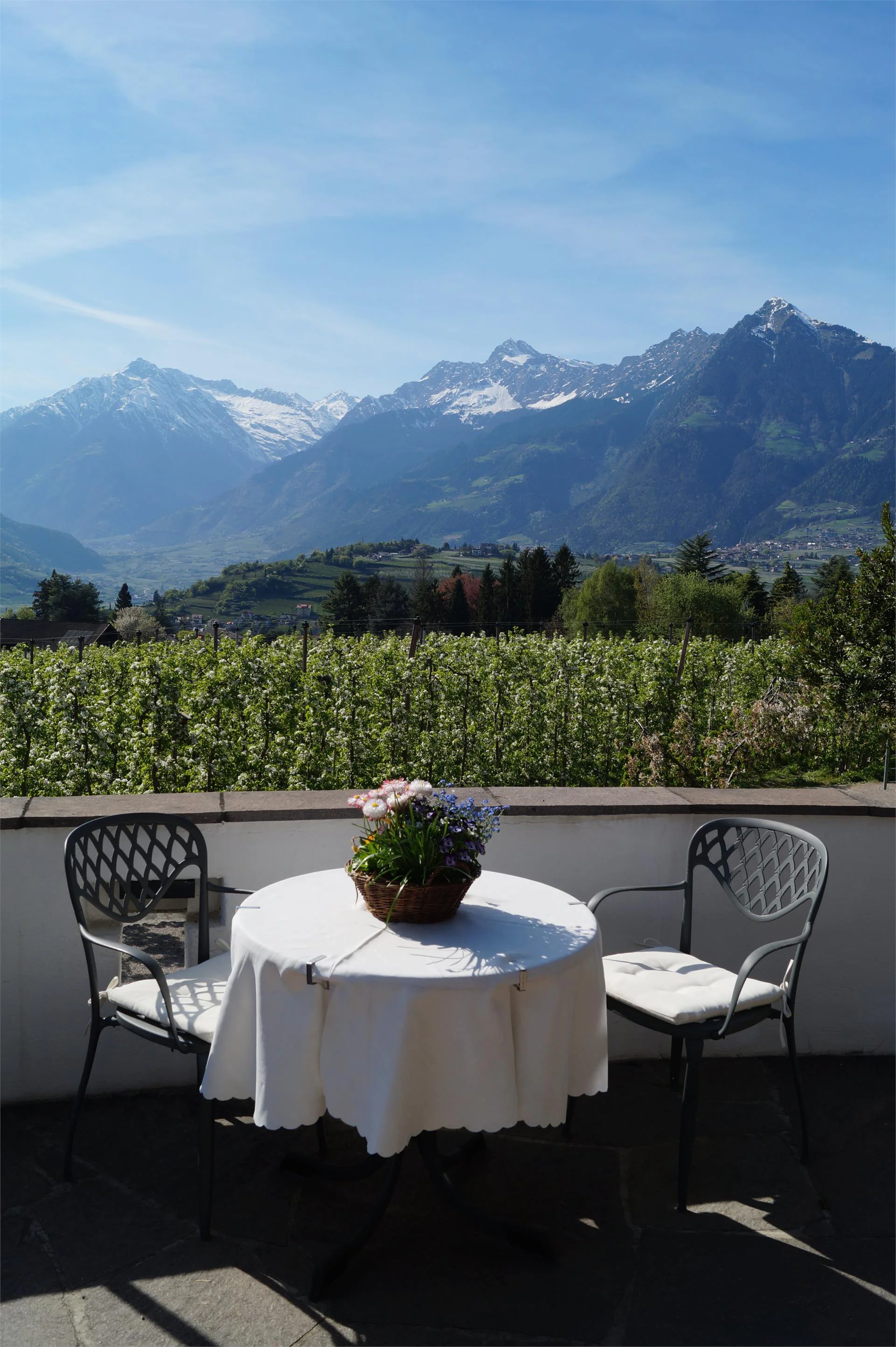 Pension Appartements Riedingerhof Meran/Merano 18 suedtirol.info