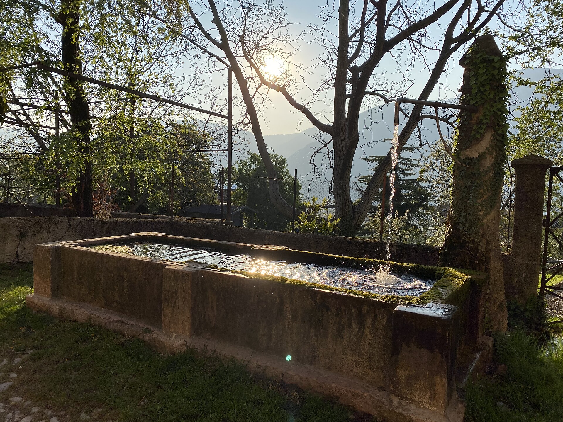 Brunnen