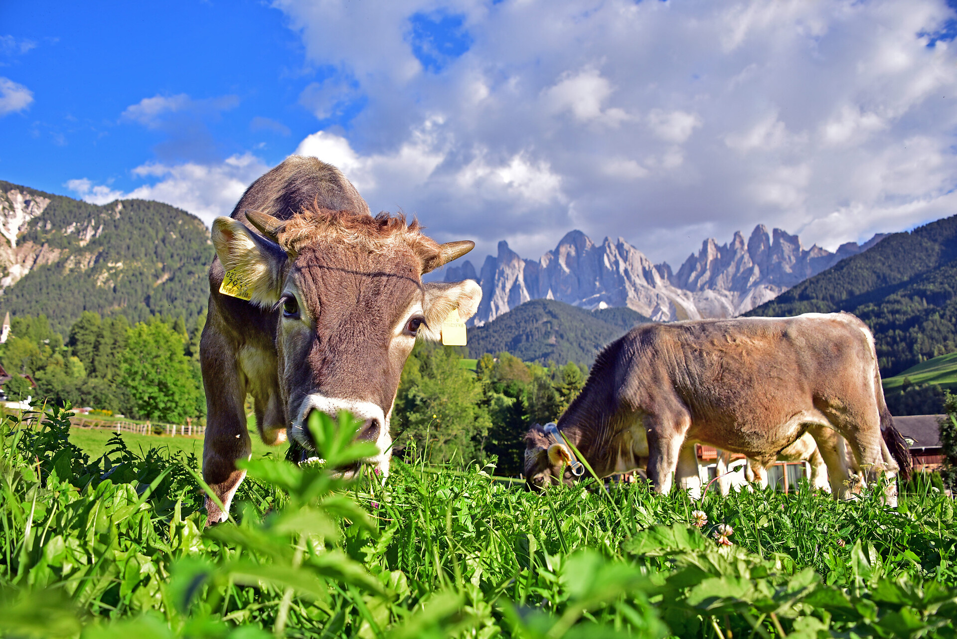 Proihof Villnöss 16 suedtirol.info