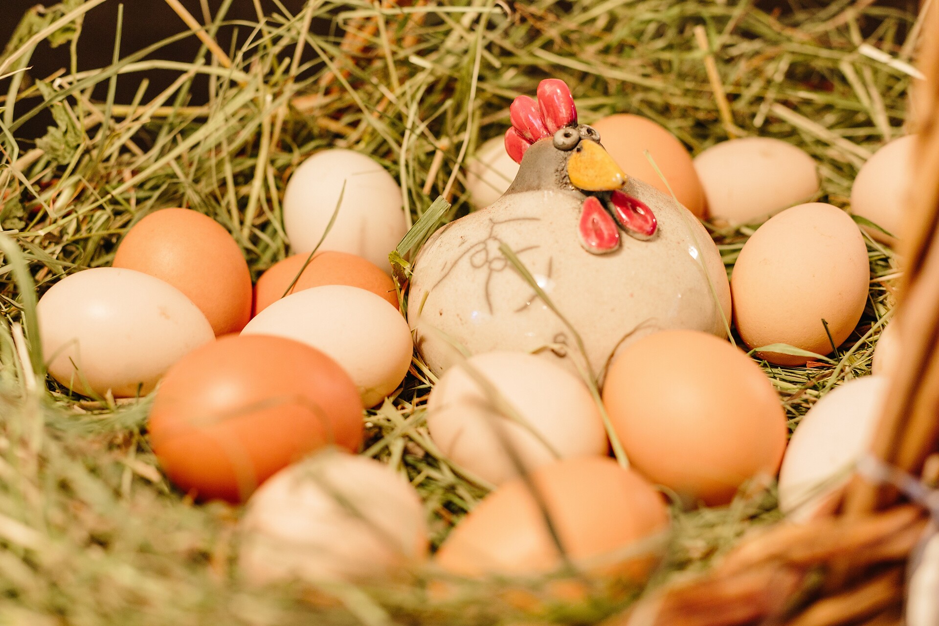 Uova delle nostre galline felici