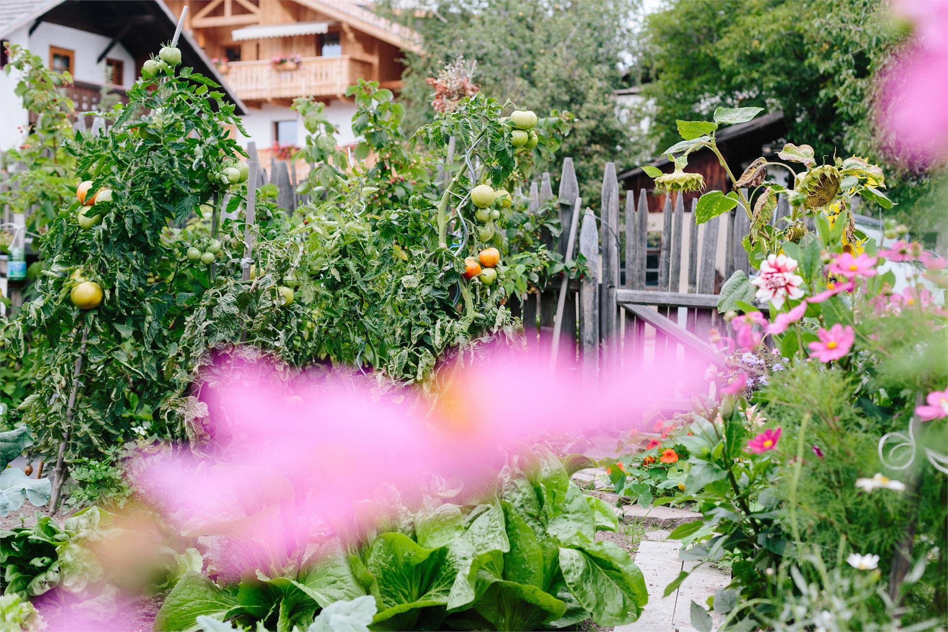 Putzerhof Funes 14 suedtirol.info