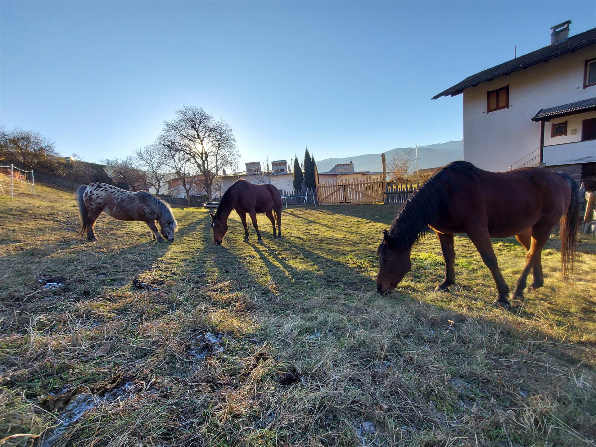 Putzerhof Funes 6 suedtirol.info