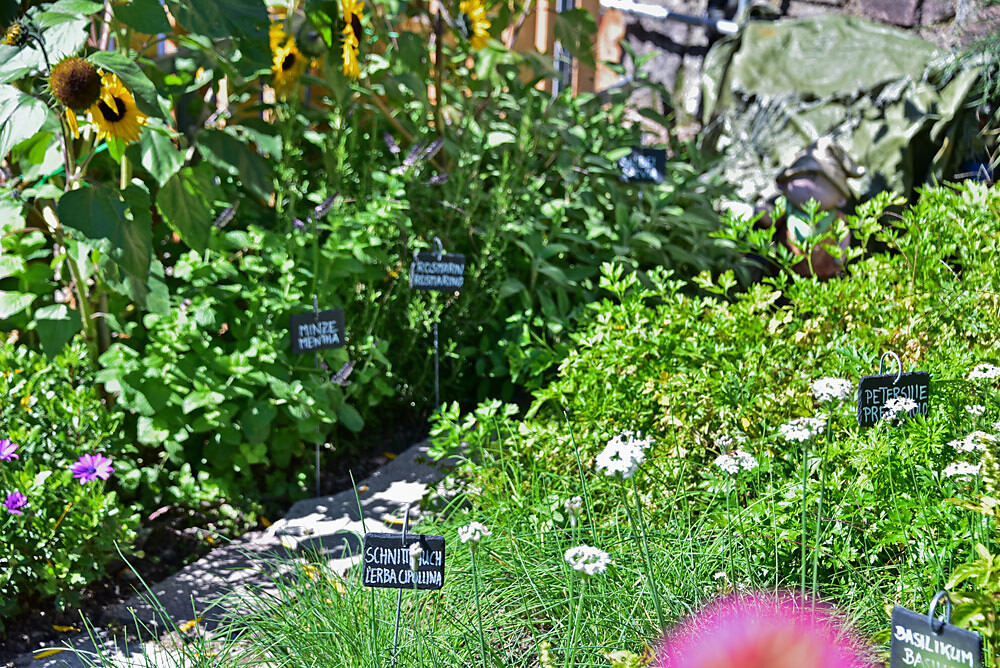 Kräutergarten
