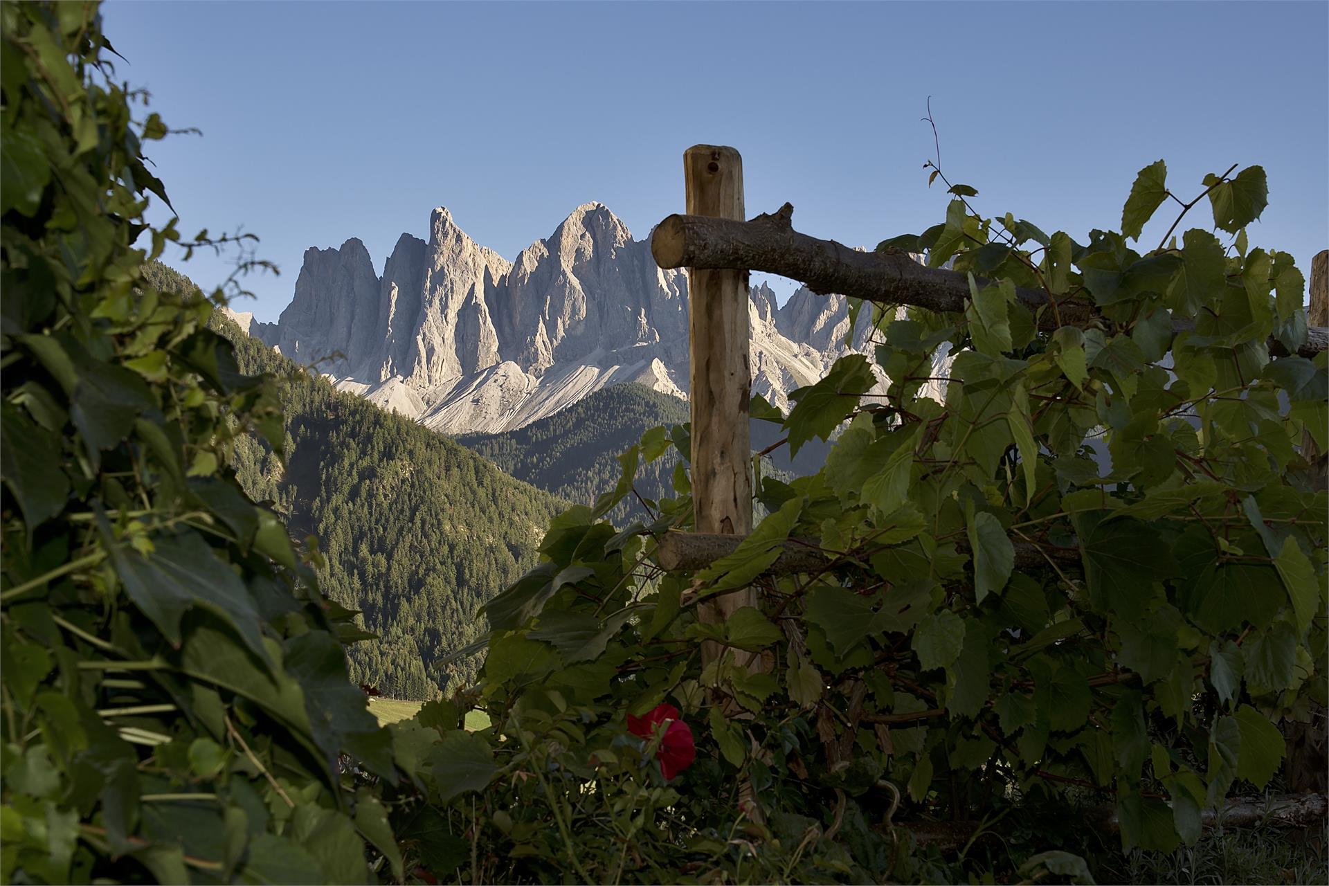 Putzerhof Villnöss 31 suedtirol.info