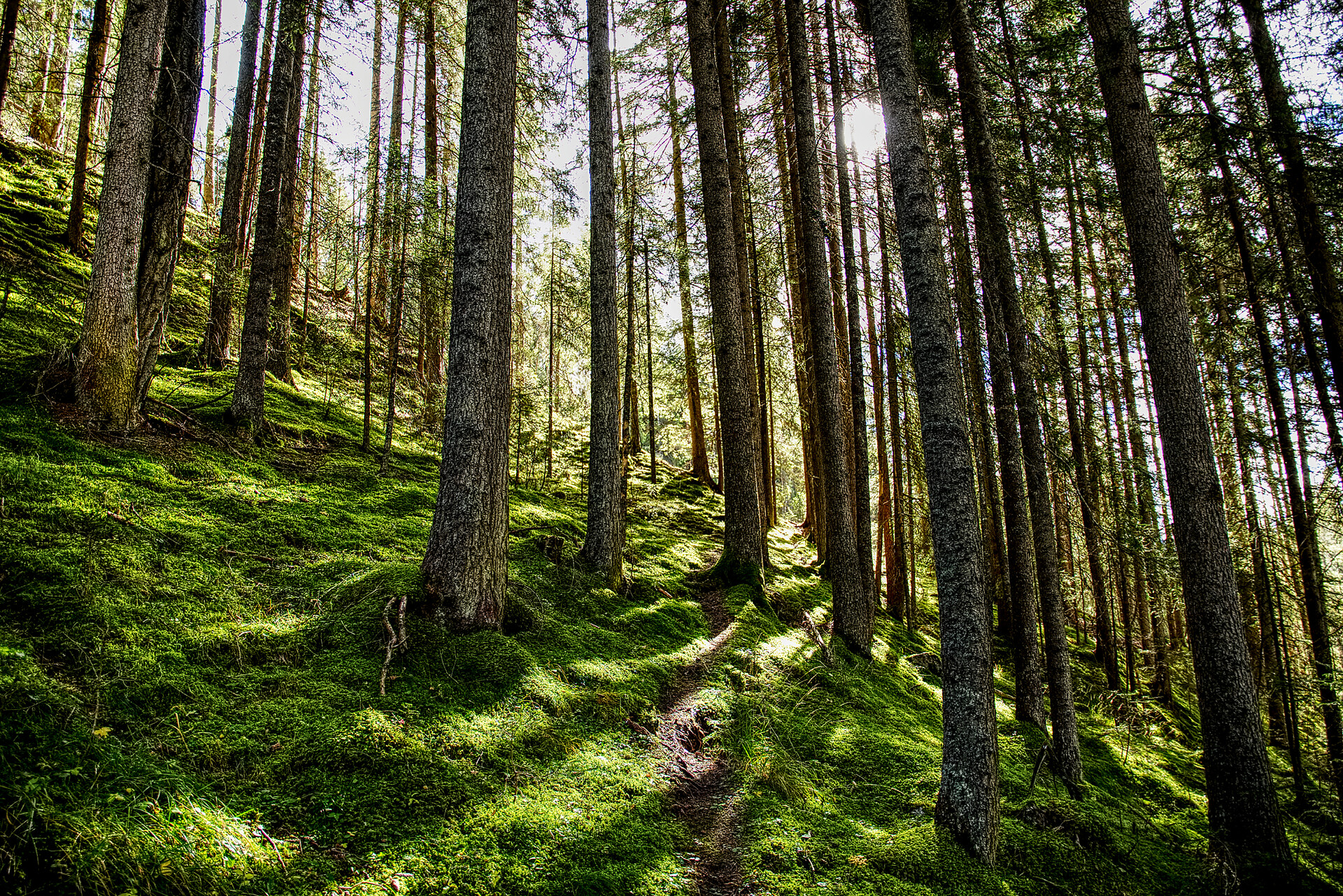 Putzerhof Dolomiten