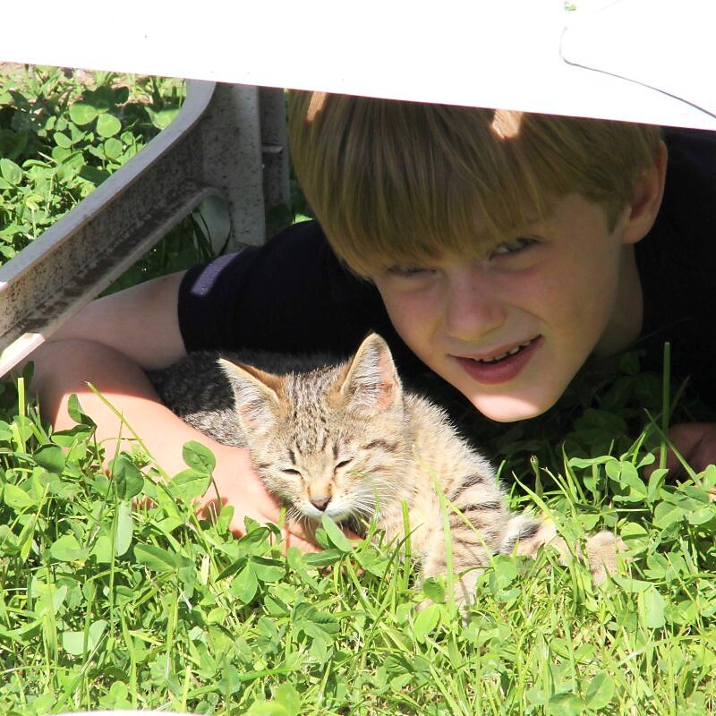 our cats