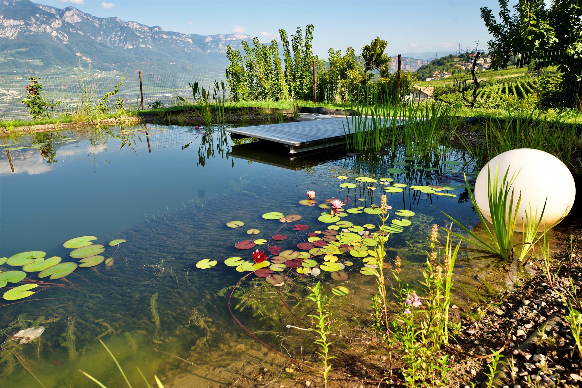 Affittacamere e appartamenti Burgunderhof Vacanze al maso Montagna 27 suedtirol.info