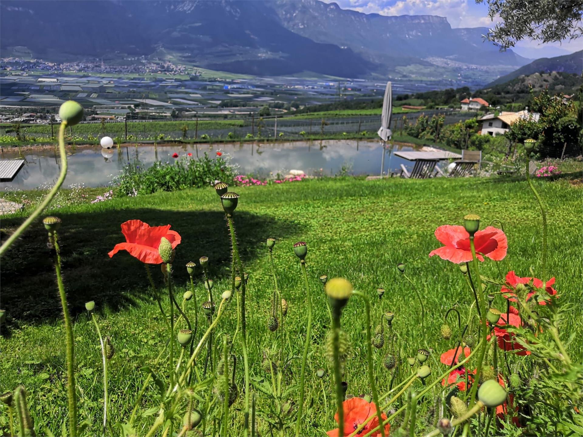 Affittacamere e appartamenti Burgunderhof Vacanze al maso Montagna 9 suedtirol.info