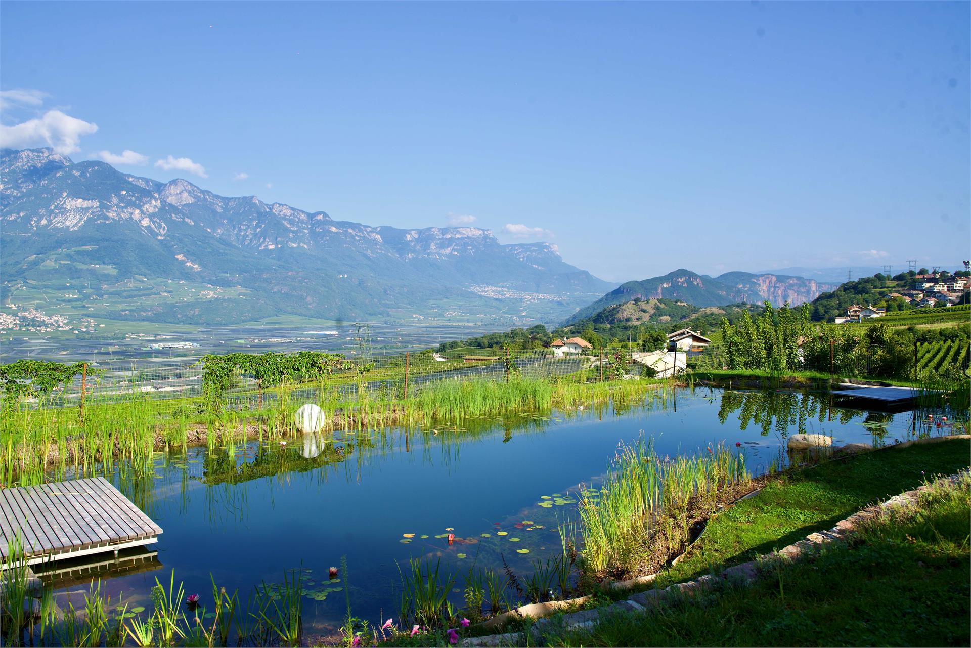 Affittacamere e appartamenti Burgunderhof Vacanze al maso Montagna 8 suedtirol.info