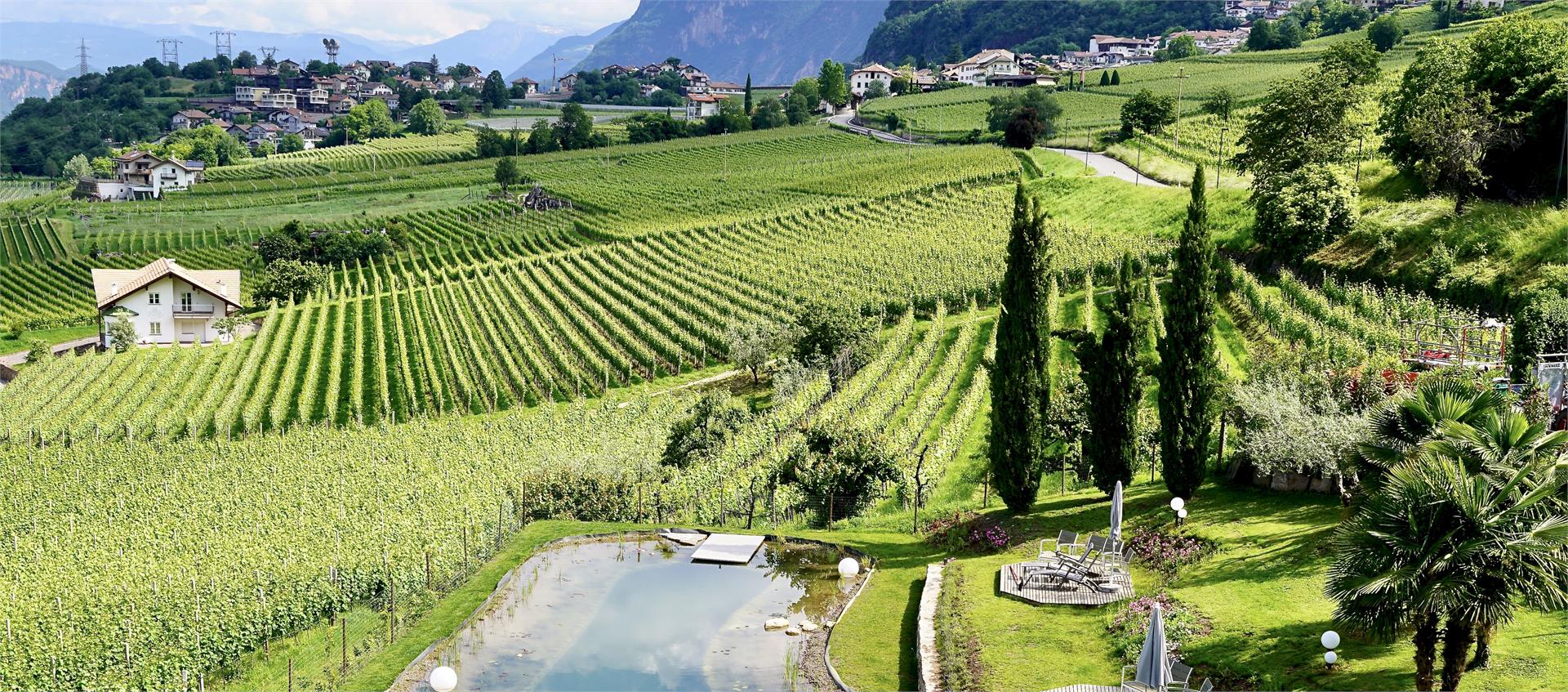 Affittacamere e appartamenti Burgunderhof Vacanze al maso Montagna 30 suedtirol.info