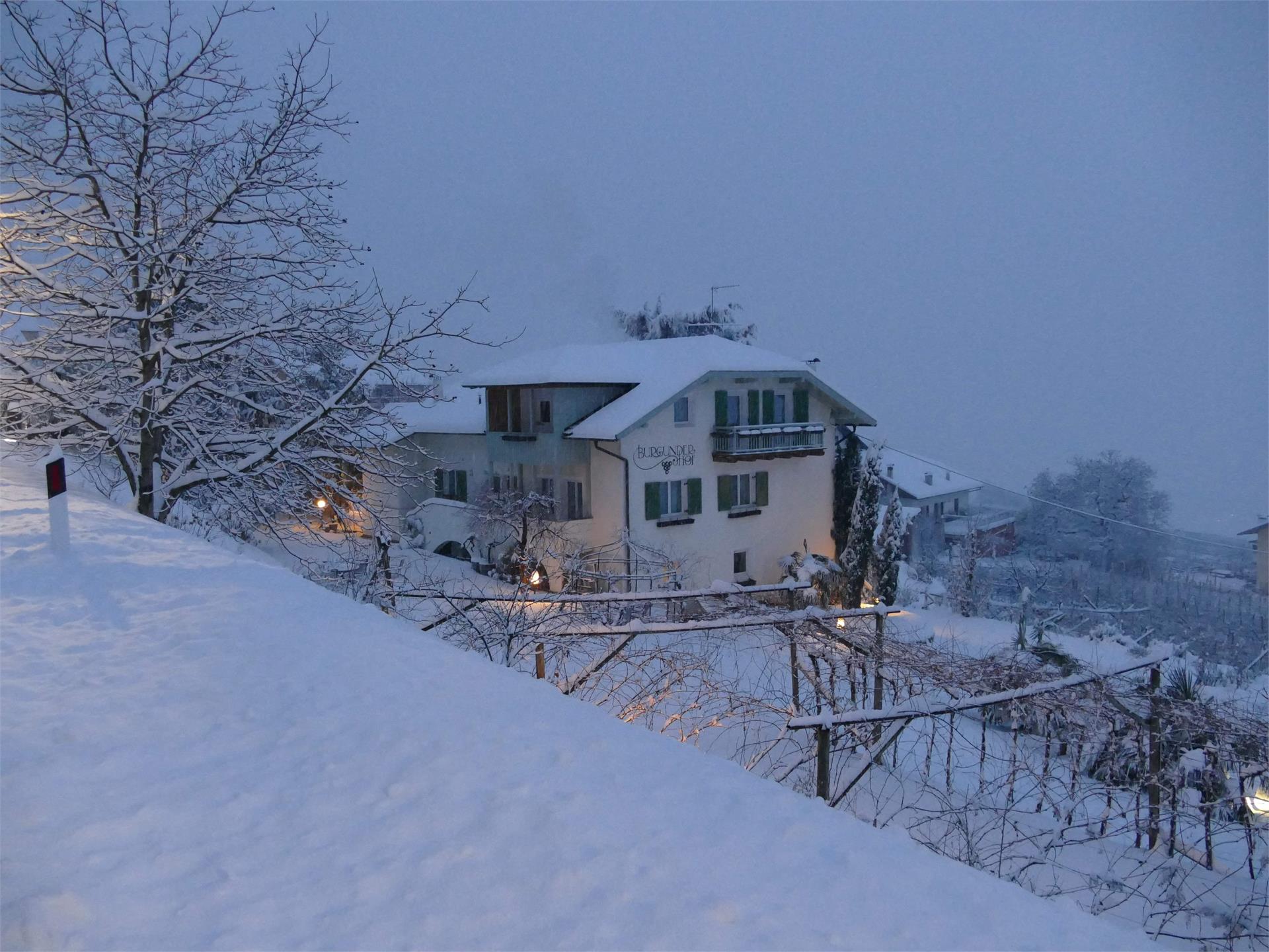 Affittacamere e appartamenti Burgunderhof Vacanze al maso Montagna 2 suedtirol.info