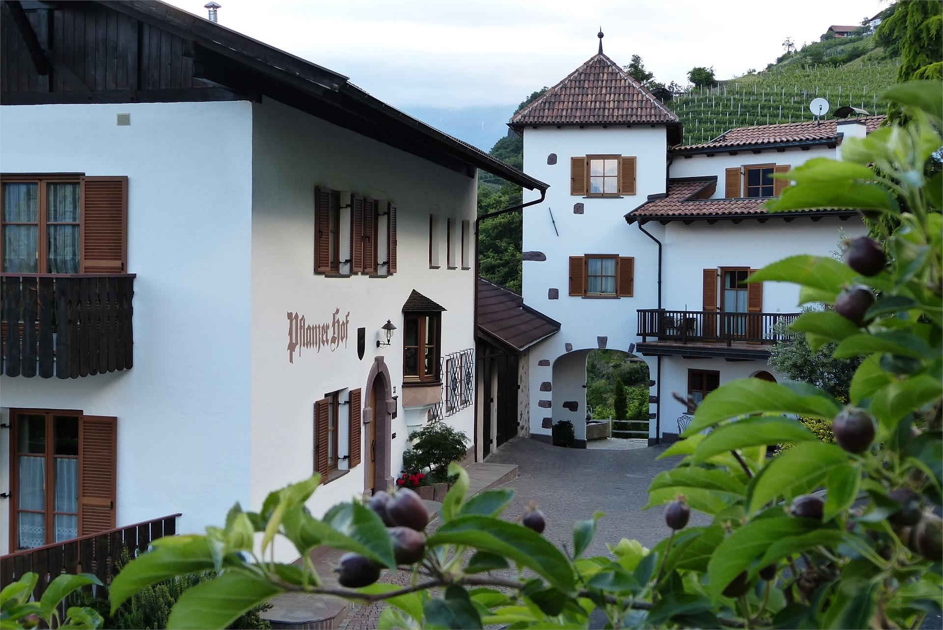 Pflanzer Postal 6 suedtirol.info