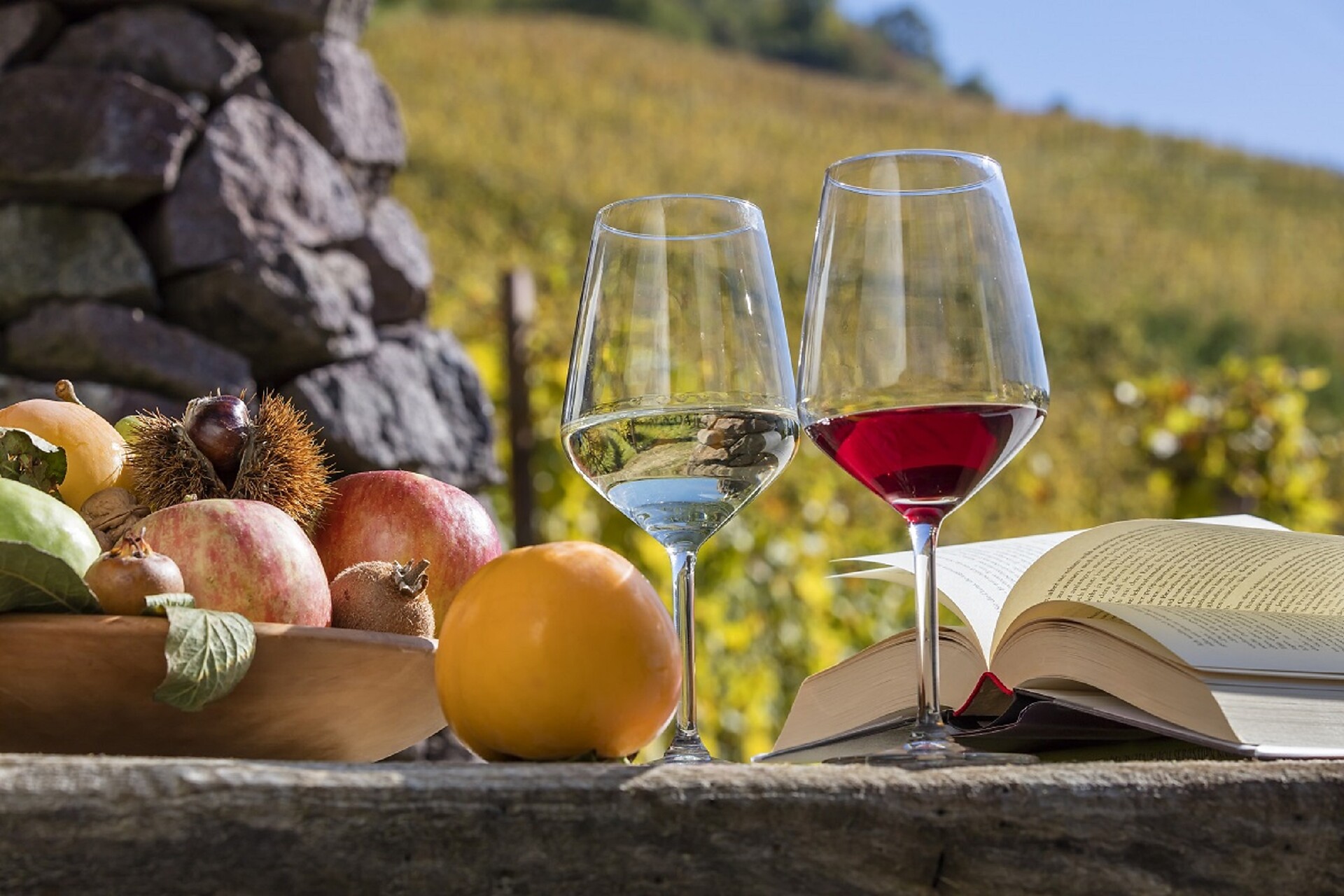 Degustazione vino