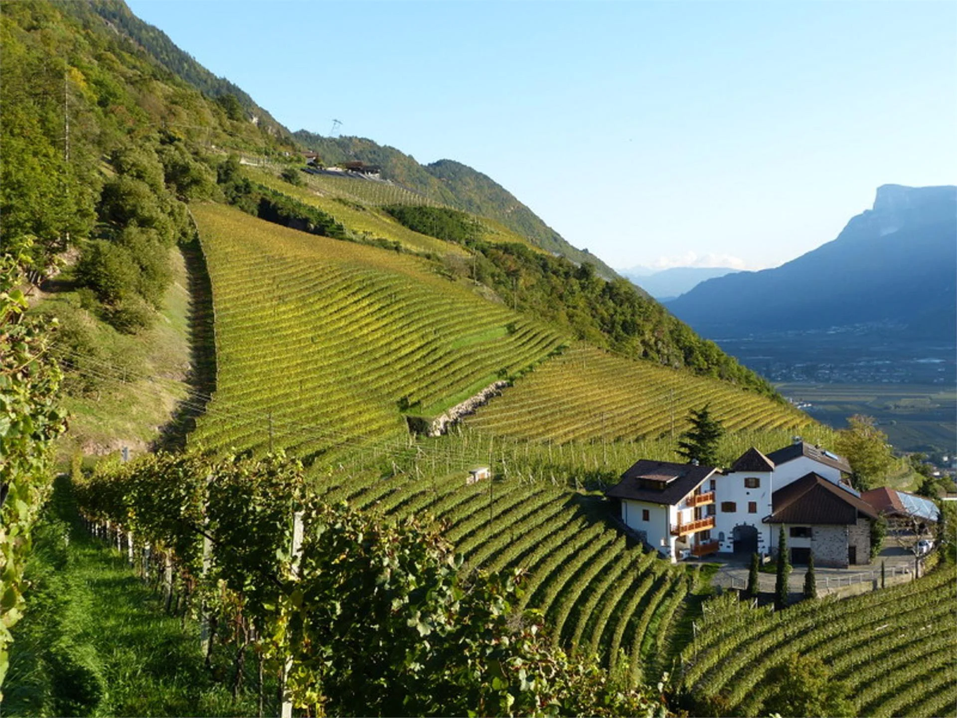 Pflanzer Burgstall/Postal 26 suedtirol.info