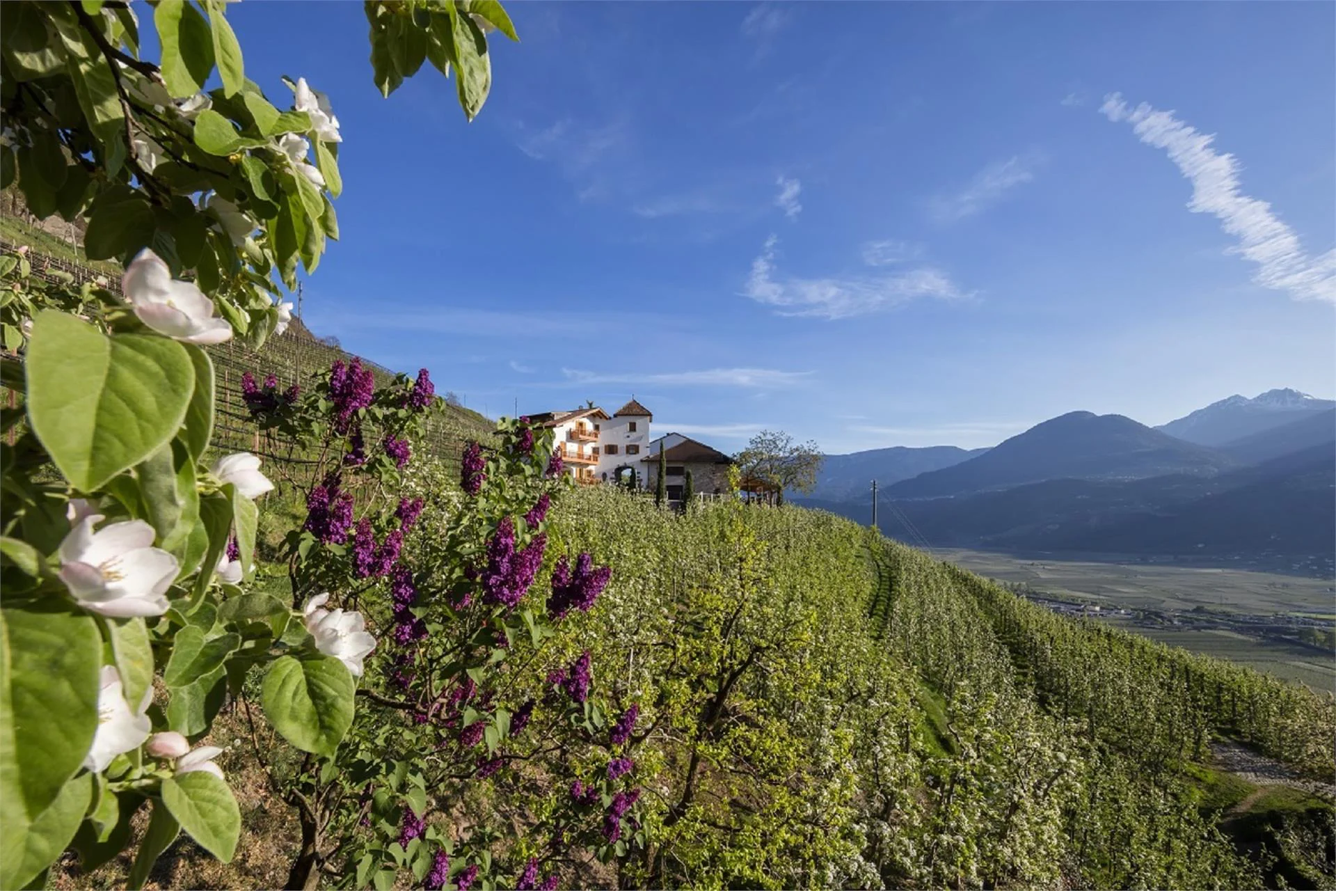 Pflanzer Burgstall/Postal 10 suedtirol.info