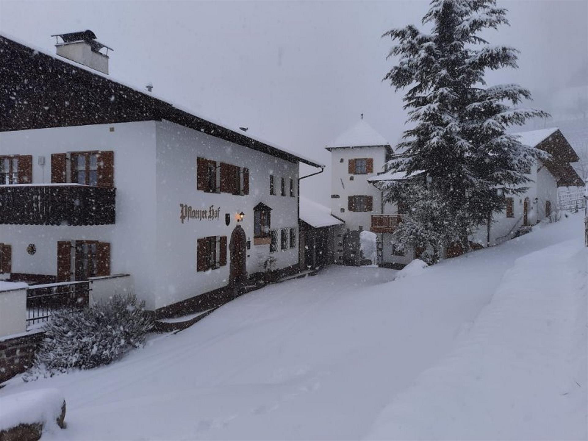 Pflanzer Postal 27 suedtirol.info