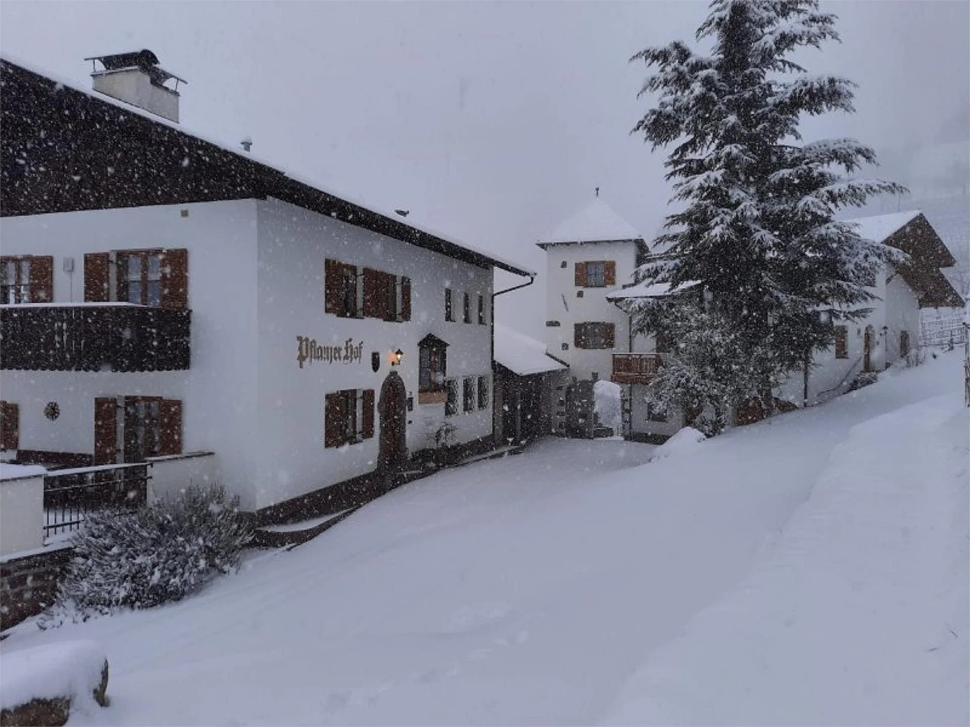 Pflanzer Burgstall/Postal 27 suedtirol.info