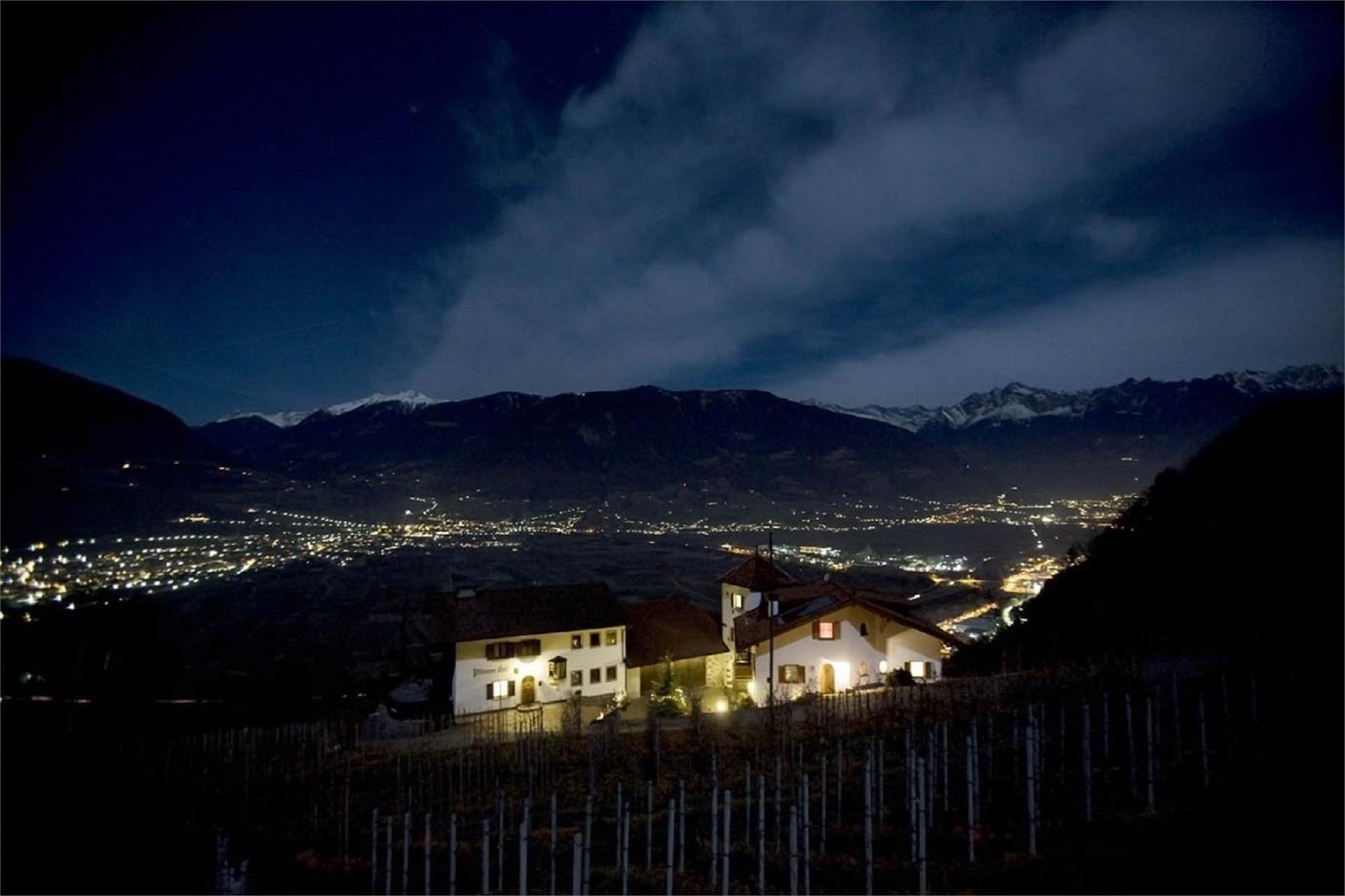Pflanzer Postal 28 suedtirol.info