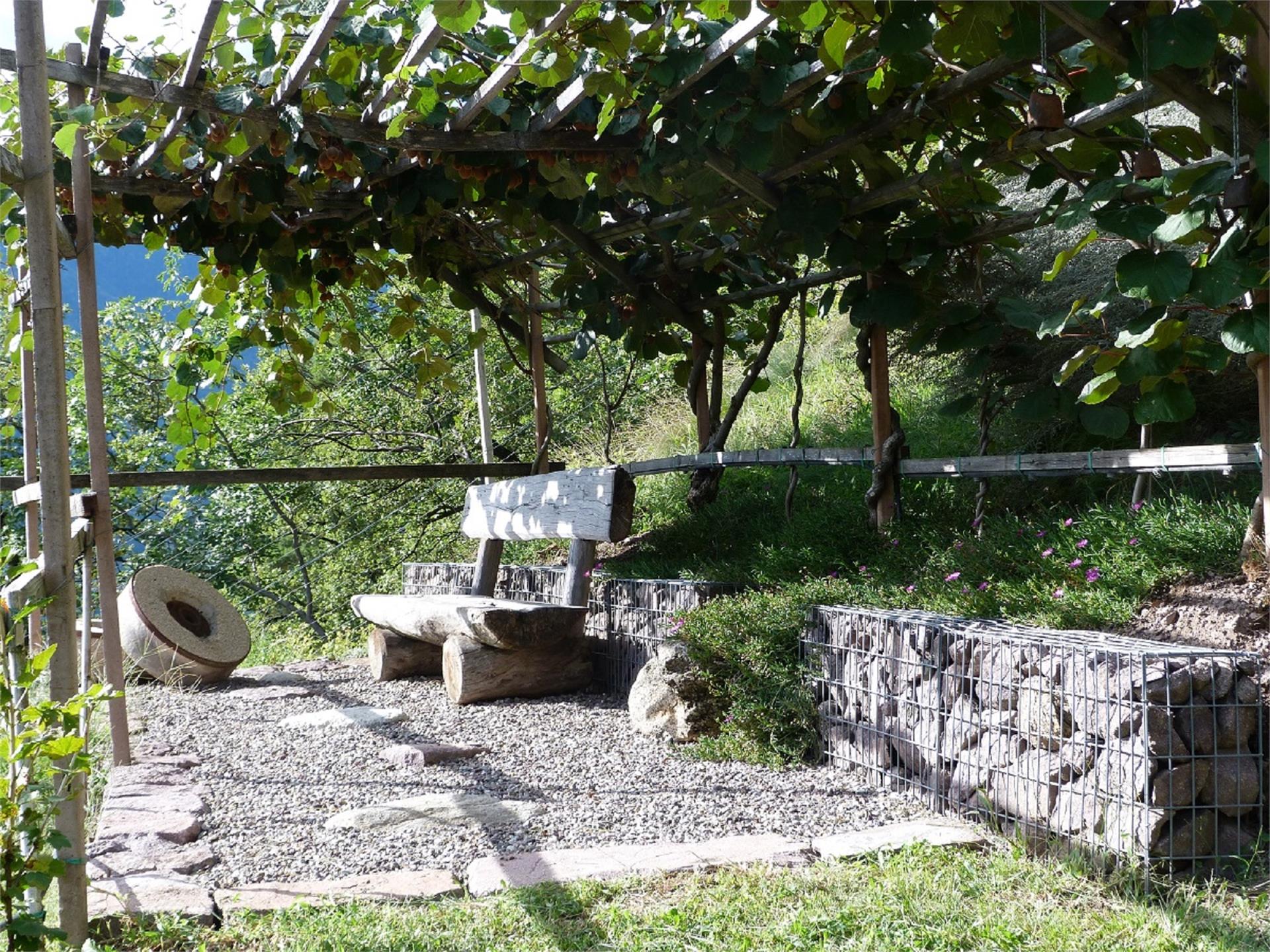 Pflanzer Postal 16 suedtirol.info