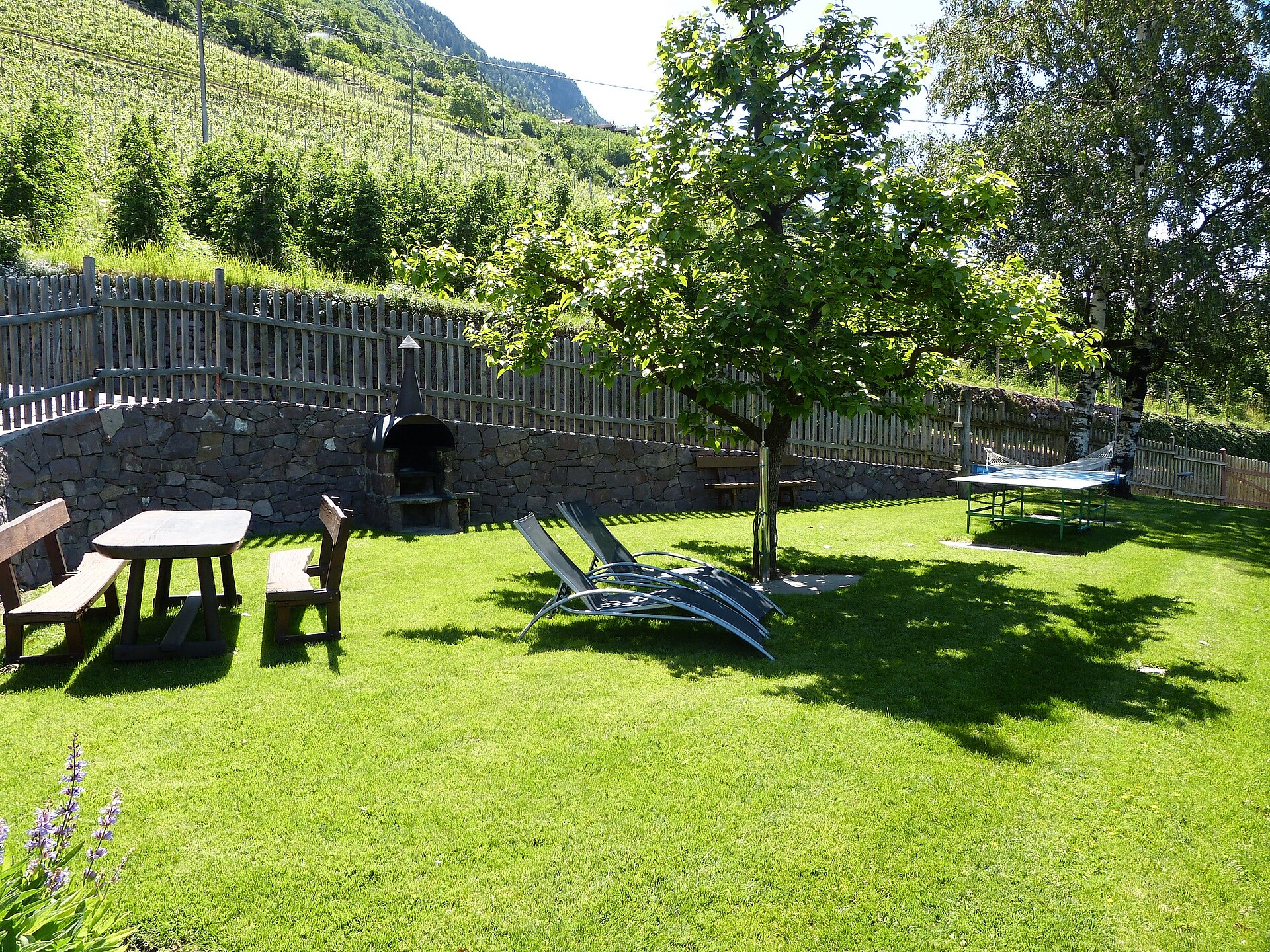 Giardino