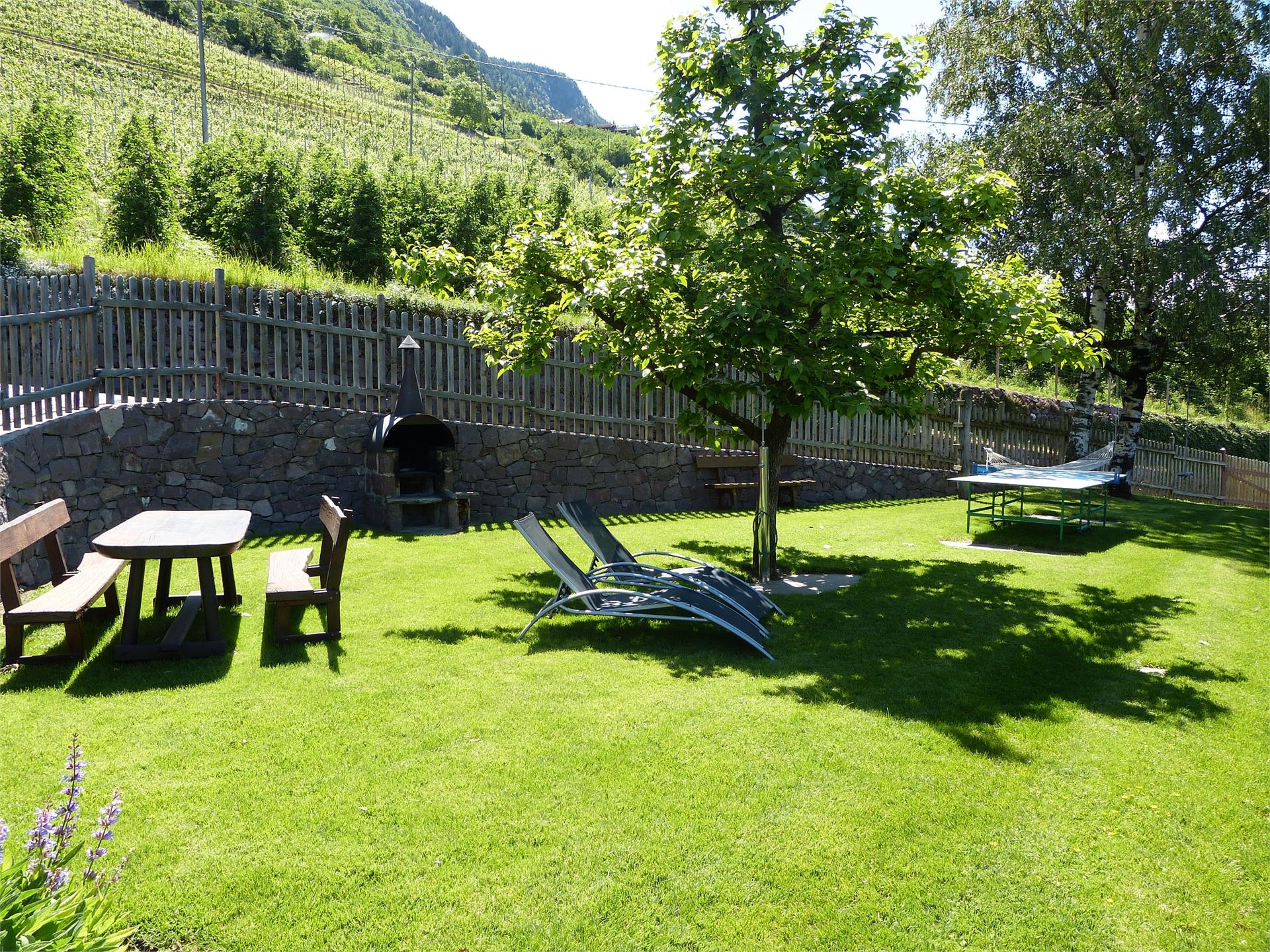 Pflanzer Postal 12 suedtirol.info
