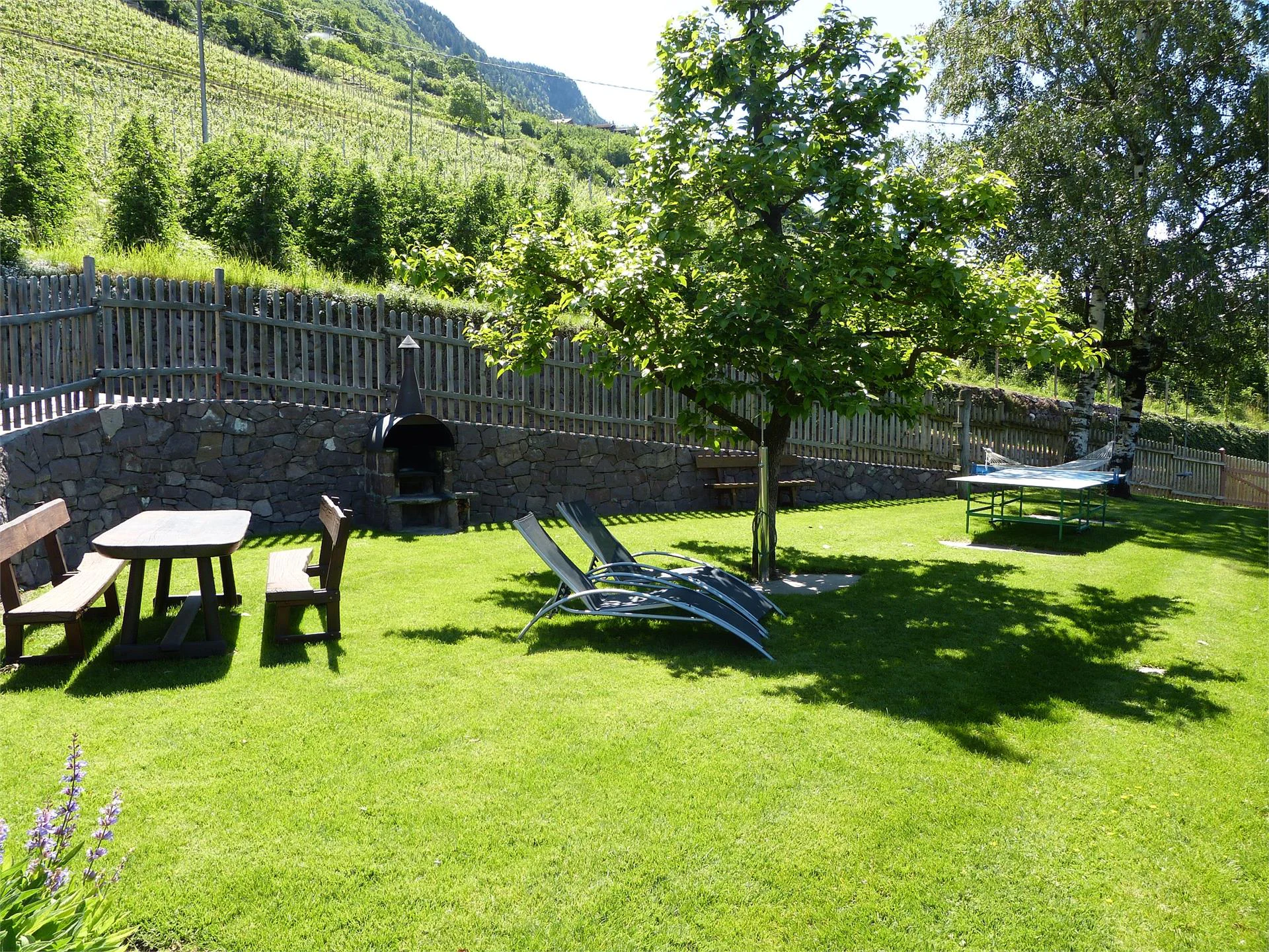 Pflanzer Burgstall/Postal 12 suedtirol.info