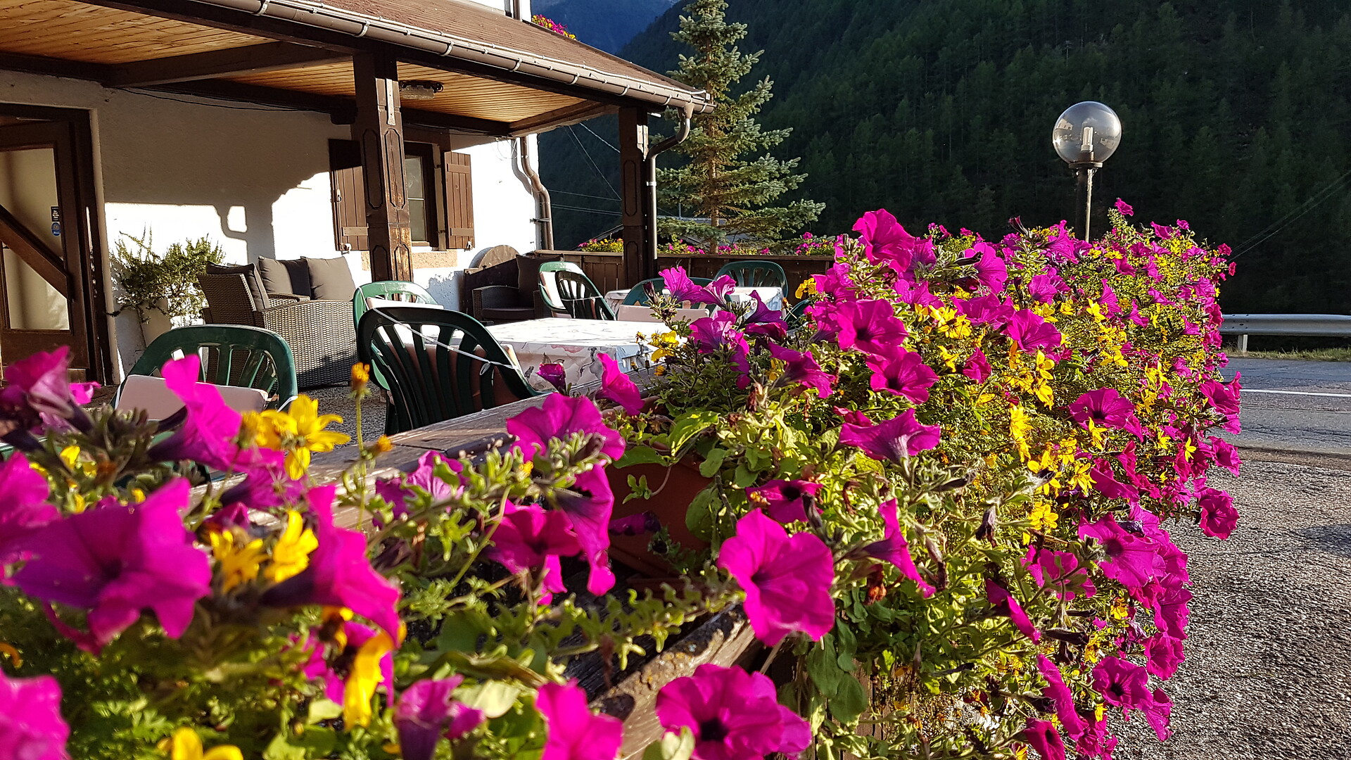 Pension Lydia fiori 1