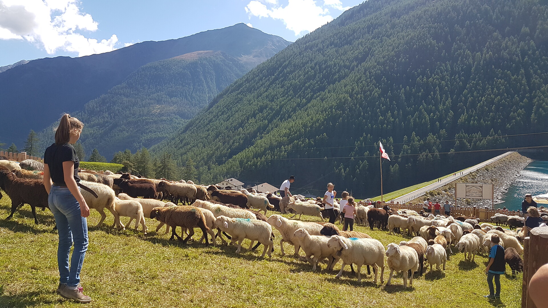 Pension Lydia tansumanza 1