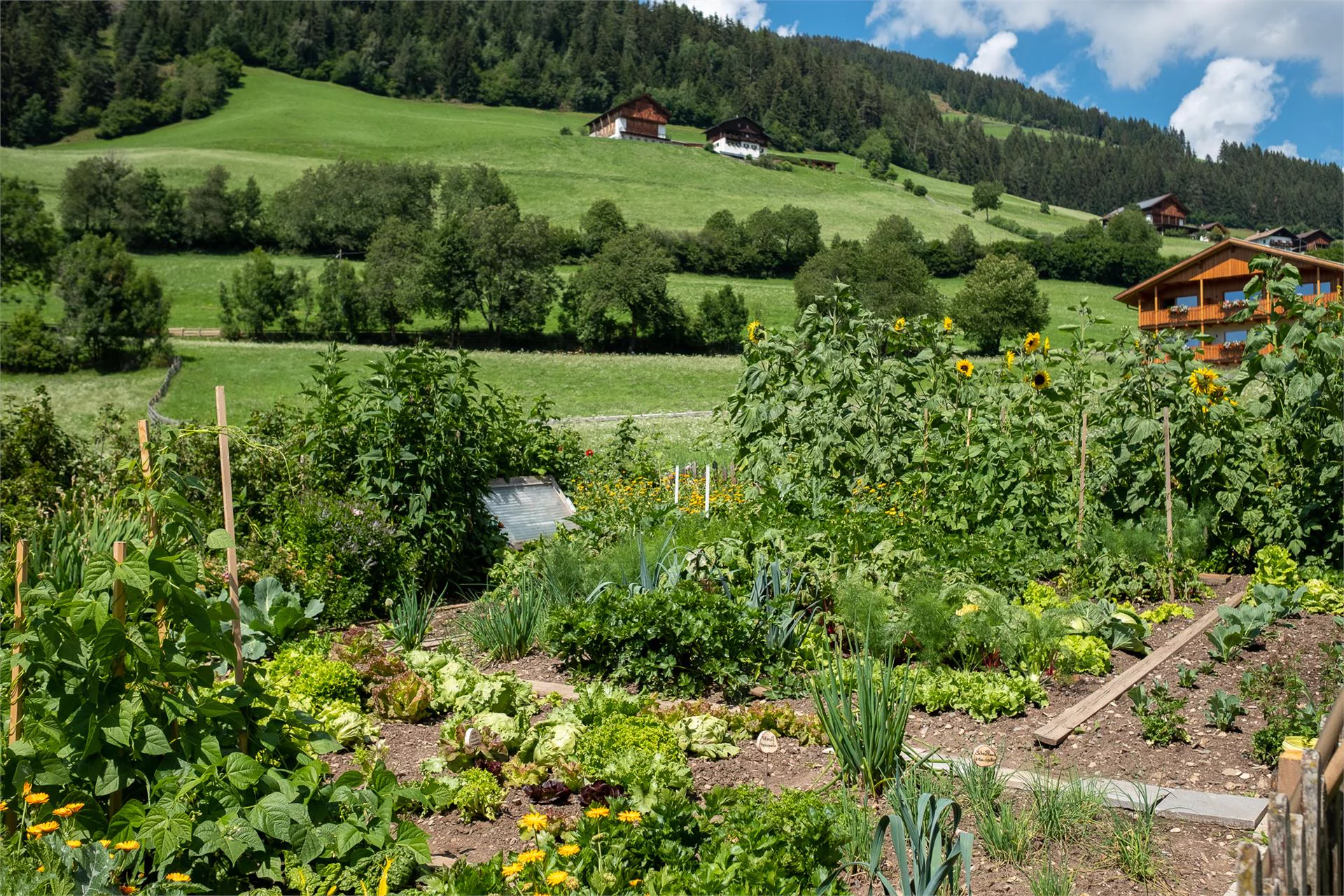 Proderhof Funes 26 suedtirol.info