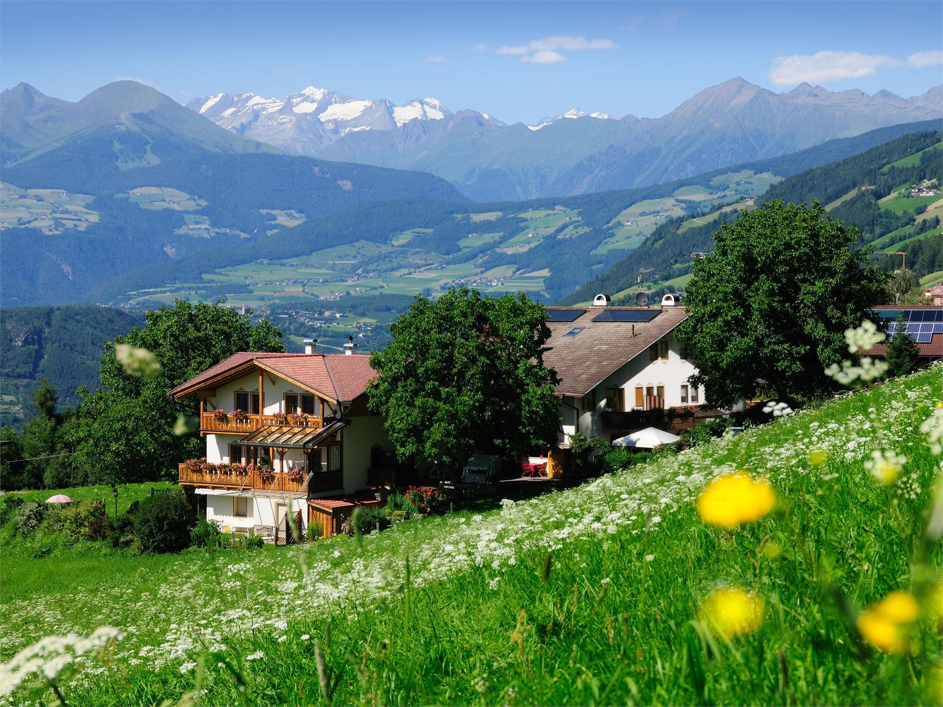 Pensione Summererhof Bressanone 1 suedtirol.info